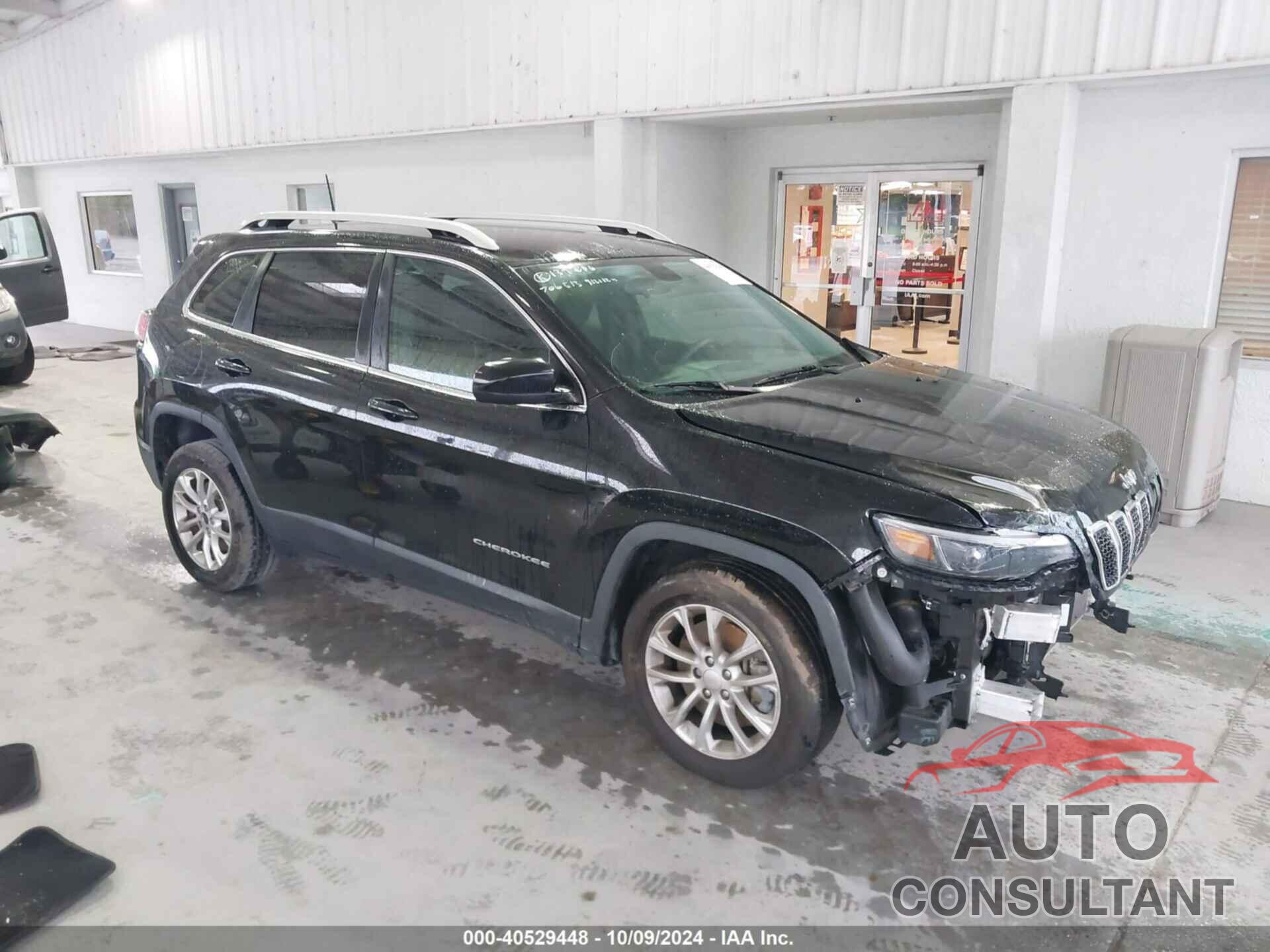 JEEP CHEROKEE 2019 - 1C4PJLCX1KD170904