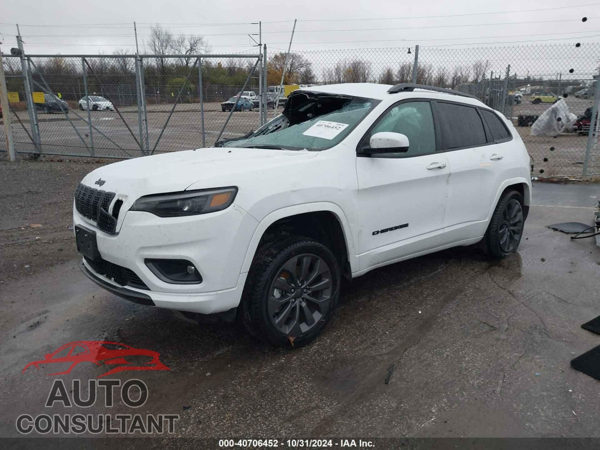 JEEP CHEROKEE 2020 - 1C4PJMDN2LD575710