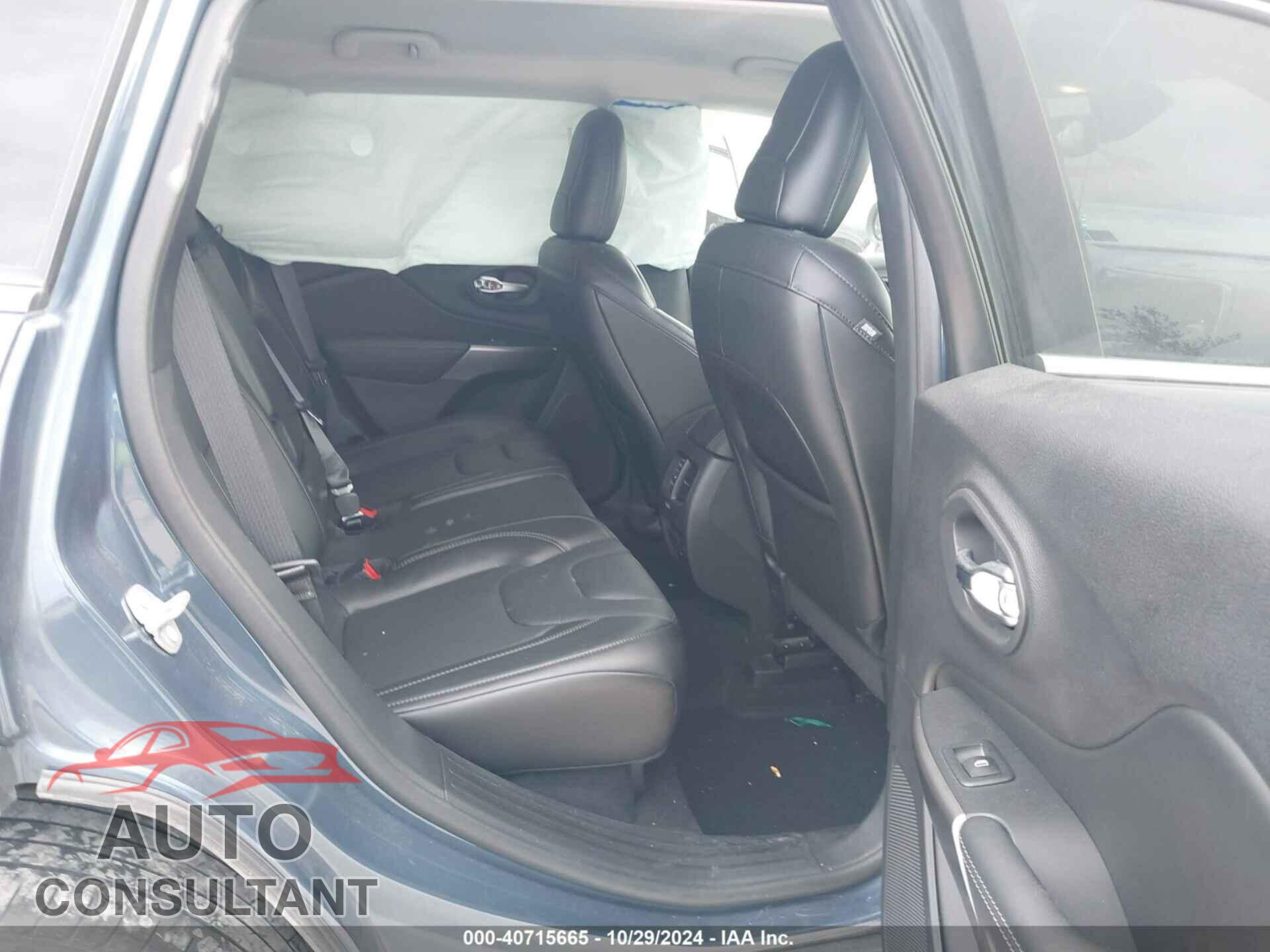 JEEP CHEROKEE 2020 - 1C4PJMDX7LD559701