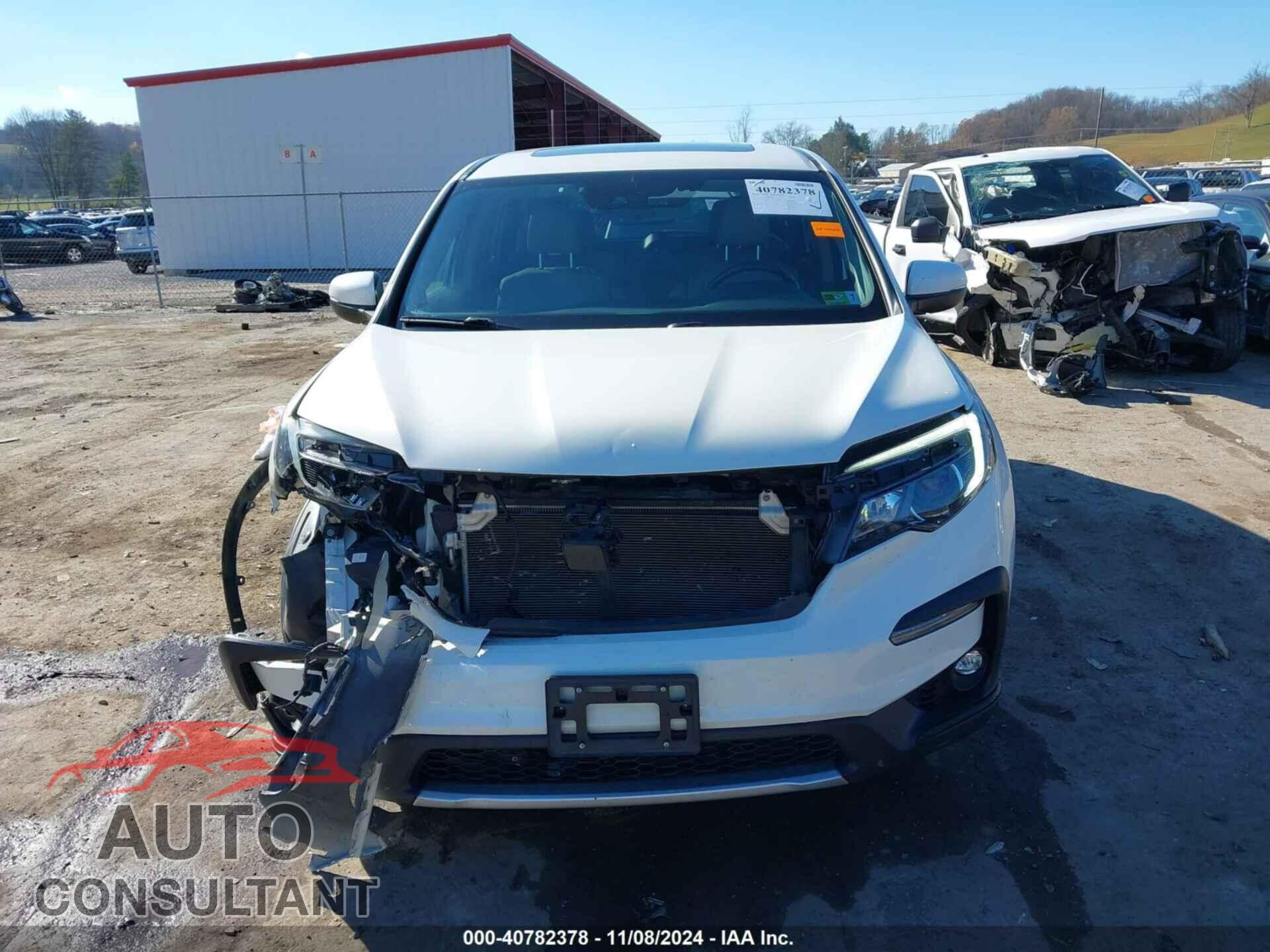 HONDA PILOT 2019 - 5FNYF6H52KB074061