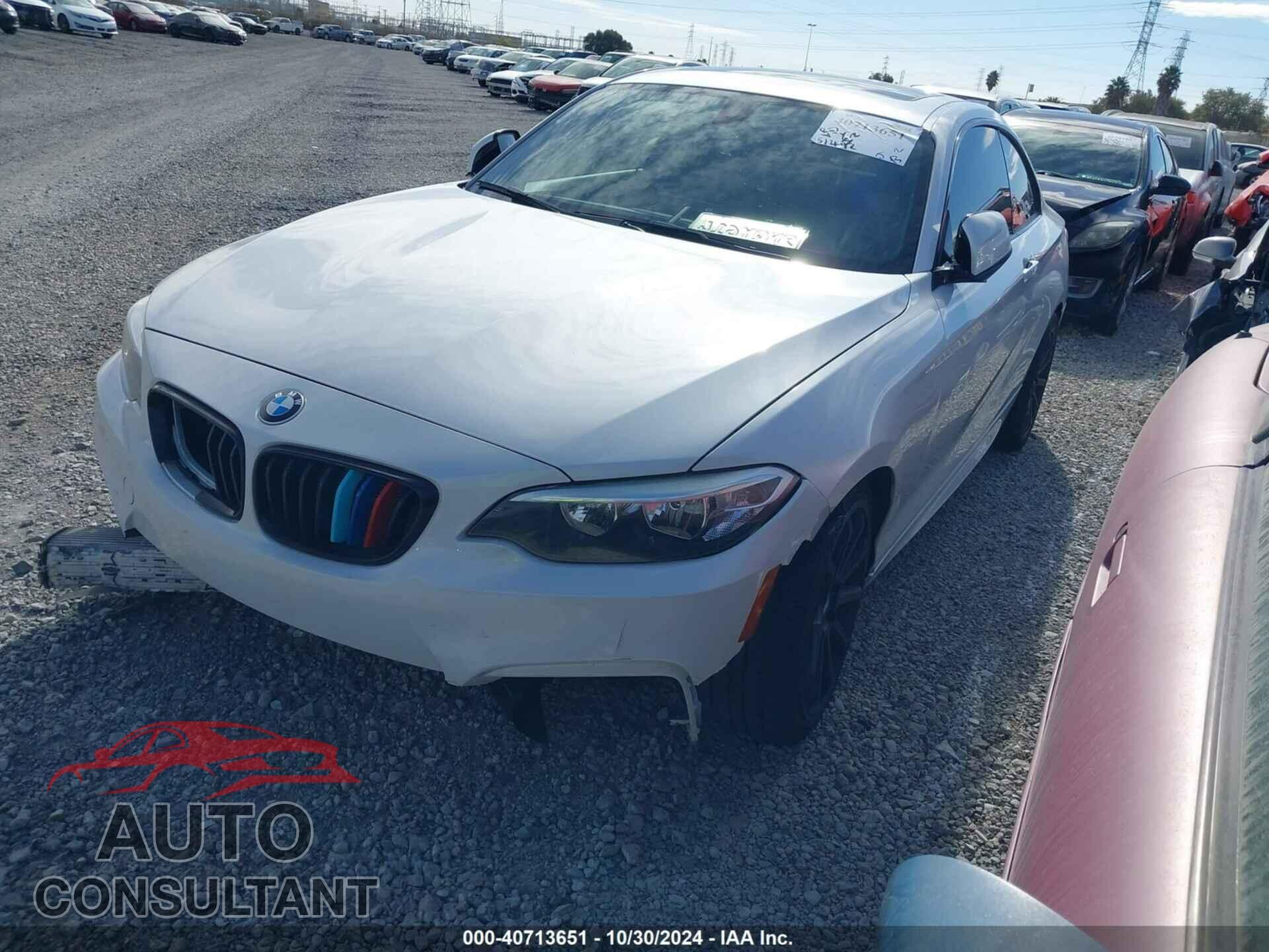 BMW 228I 2015 - WBA1F9C53FVW98482