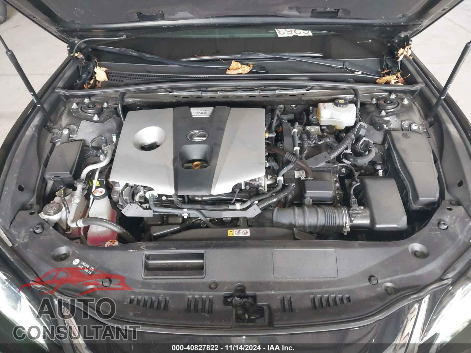 LEXUS ES 300H 2020 - 58AE21B16LU005362