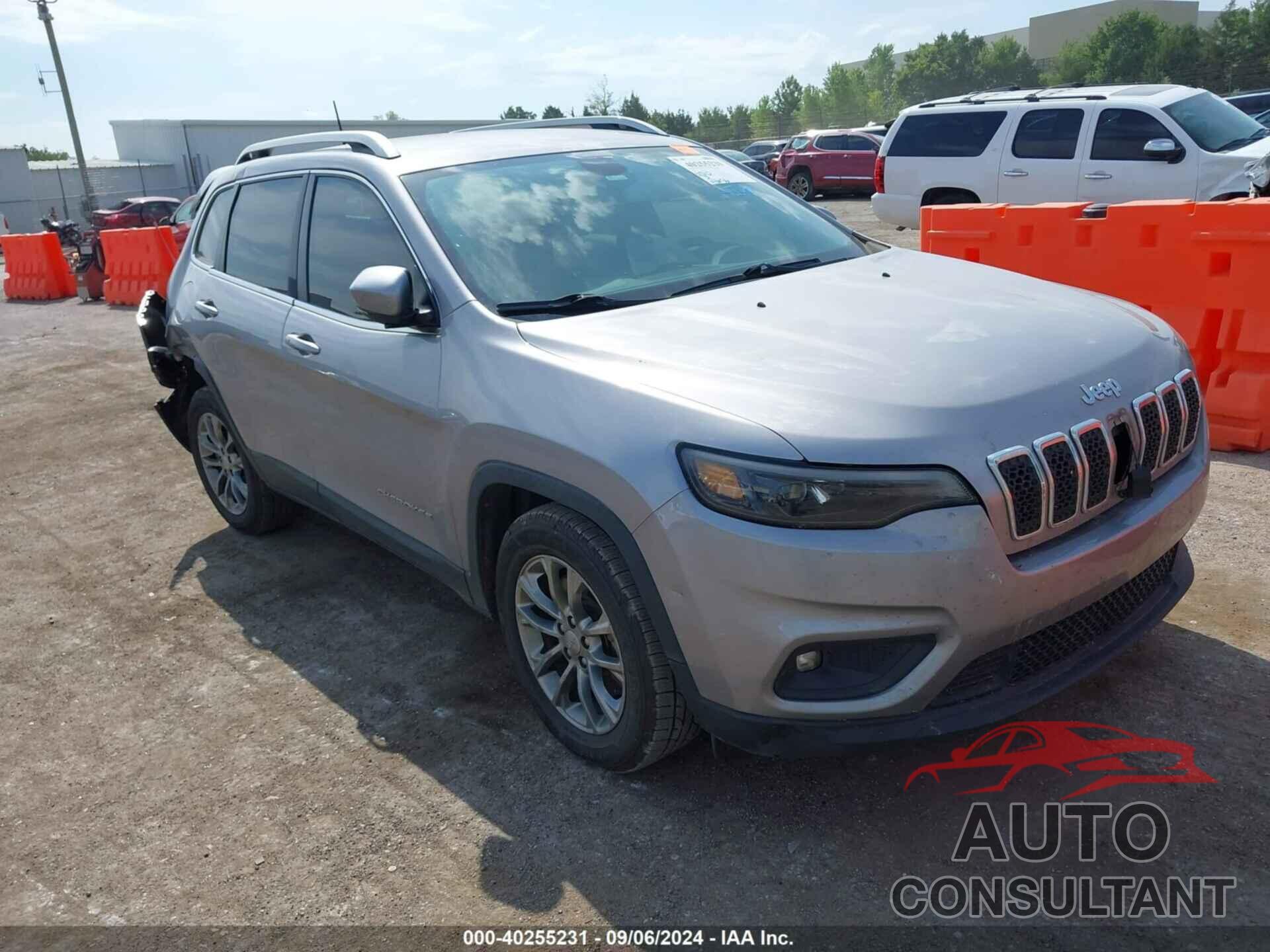 JEEP CHEROKEE 2019 - 1C4PJLLB0KD434439