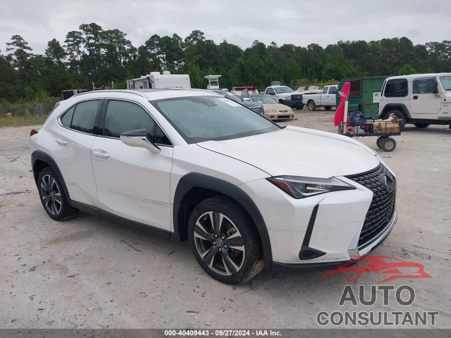 LEXUS UX 2021 - JTHP3JBH4M2045160