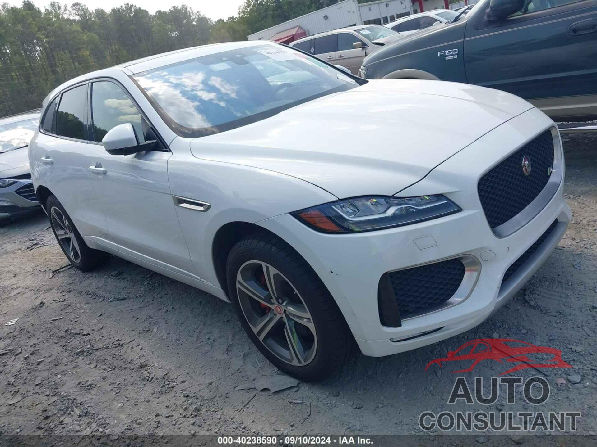 JAGUAR F-PACE 2020 - SADCM2FV6LA639227