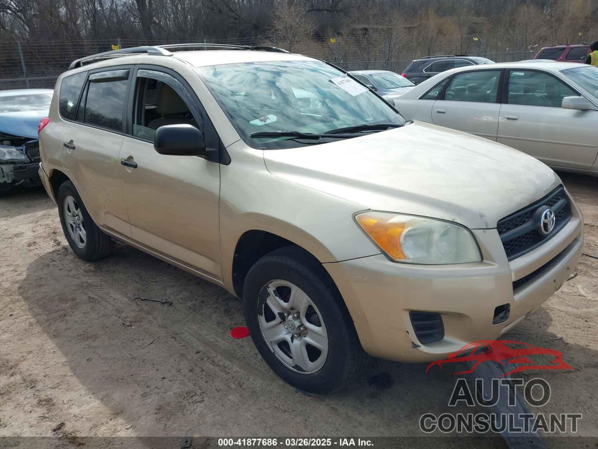 TOYOTA RAV4 2011 - 2T3BF4DV9BW131656