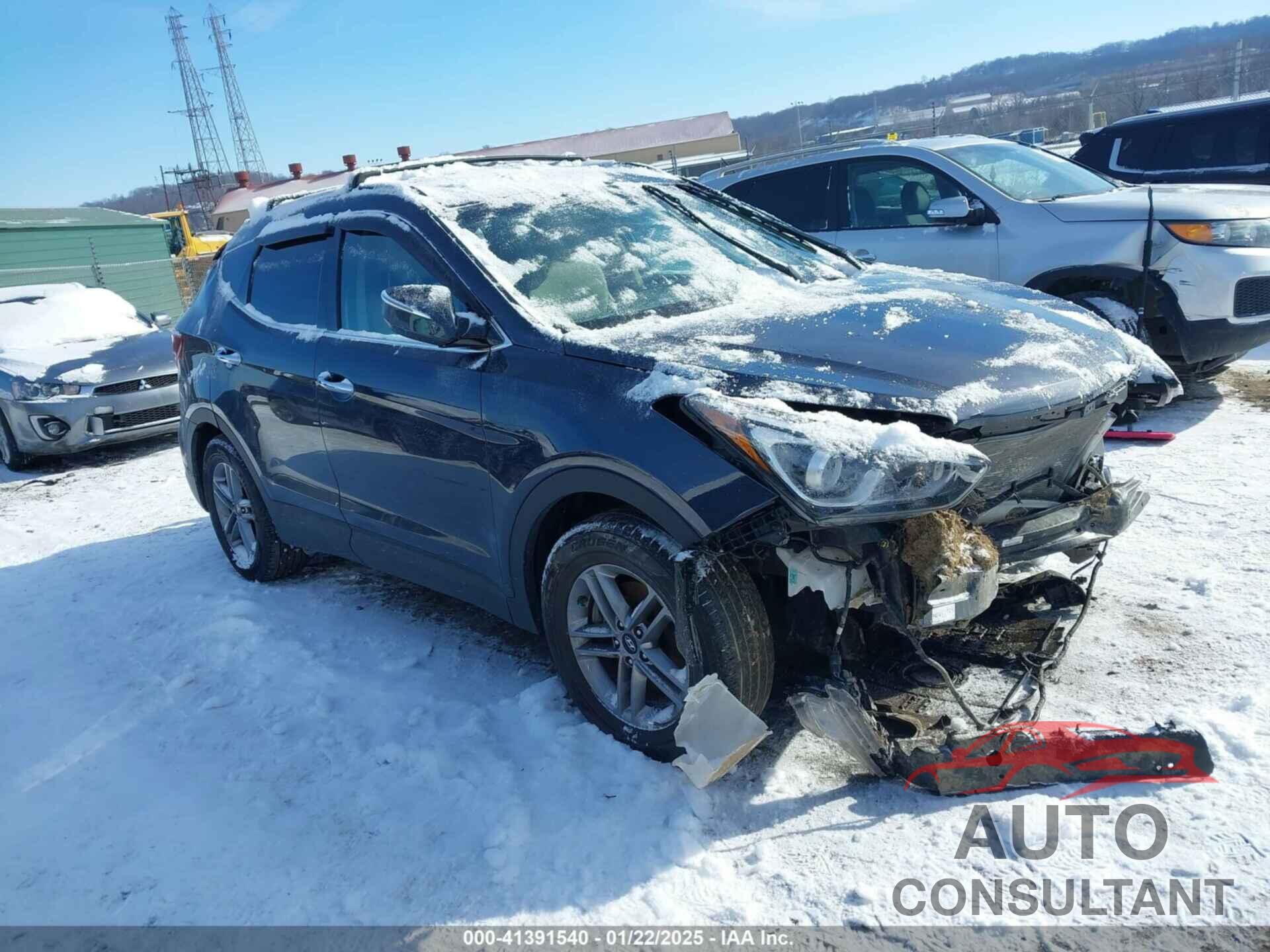 HYUNDAI SANTA FE SPORT 2017 - 5NMZUDLB3HH022067