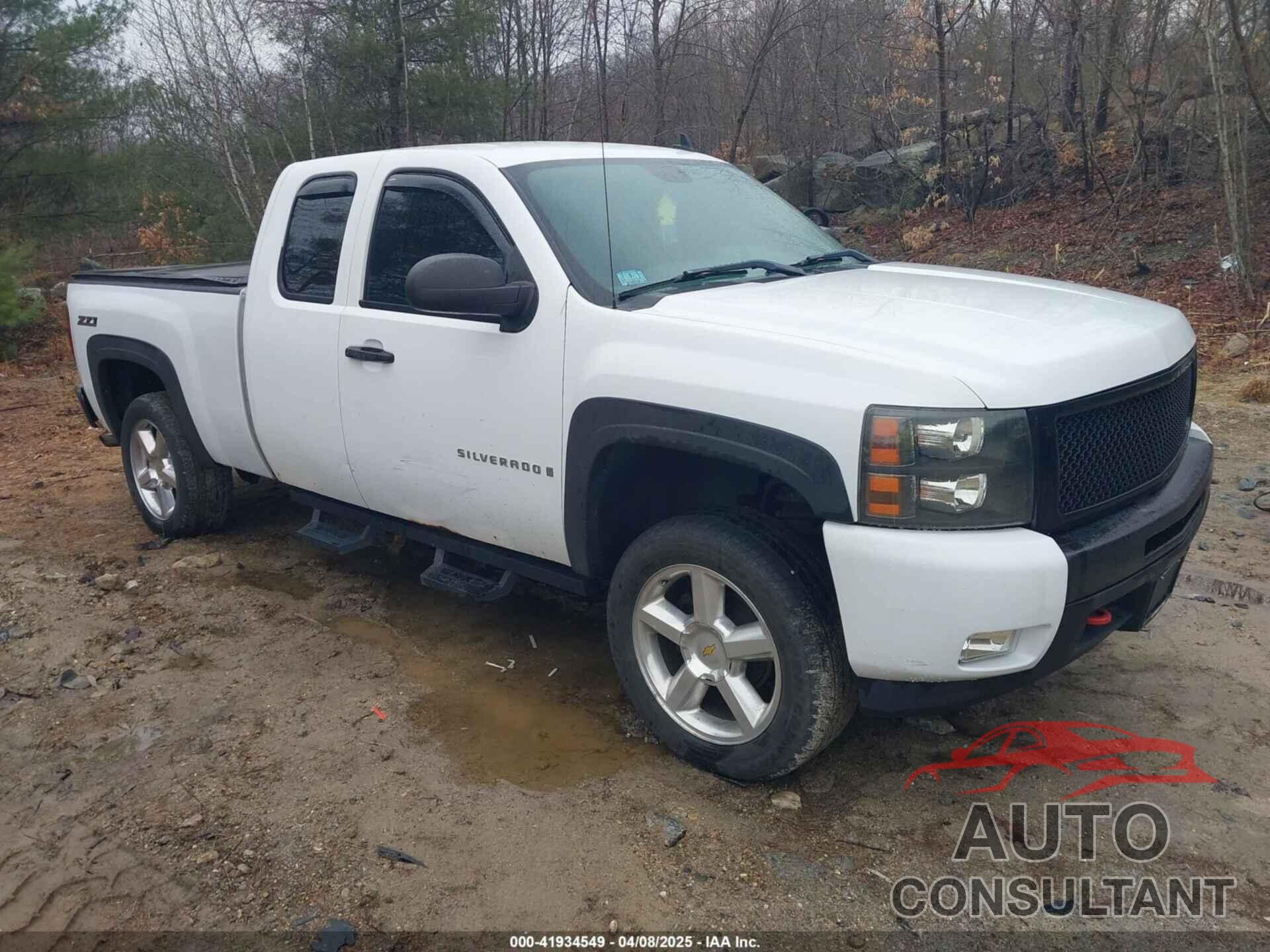 CHEVROLET SILVERADO 1500 2009 - 1GCEK19C79Z171355