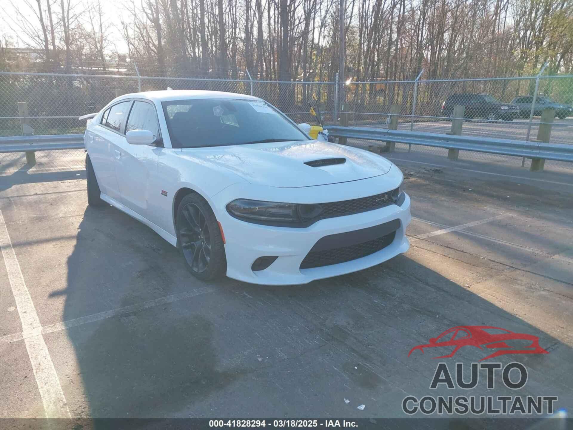 DODGE CHARGER 2020 - 2C3CDXGJ3LH244092
