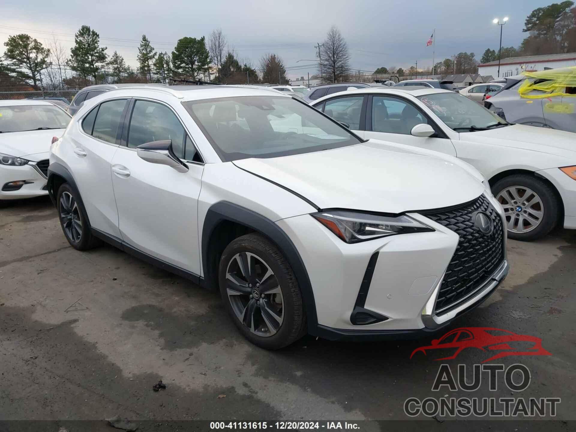 LEXUS UX 200 2020 - JTHX3JBH1L2030114