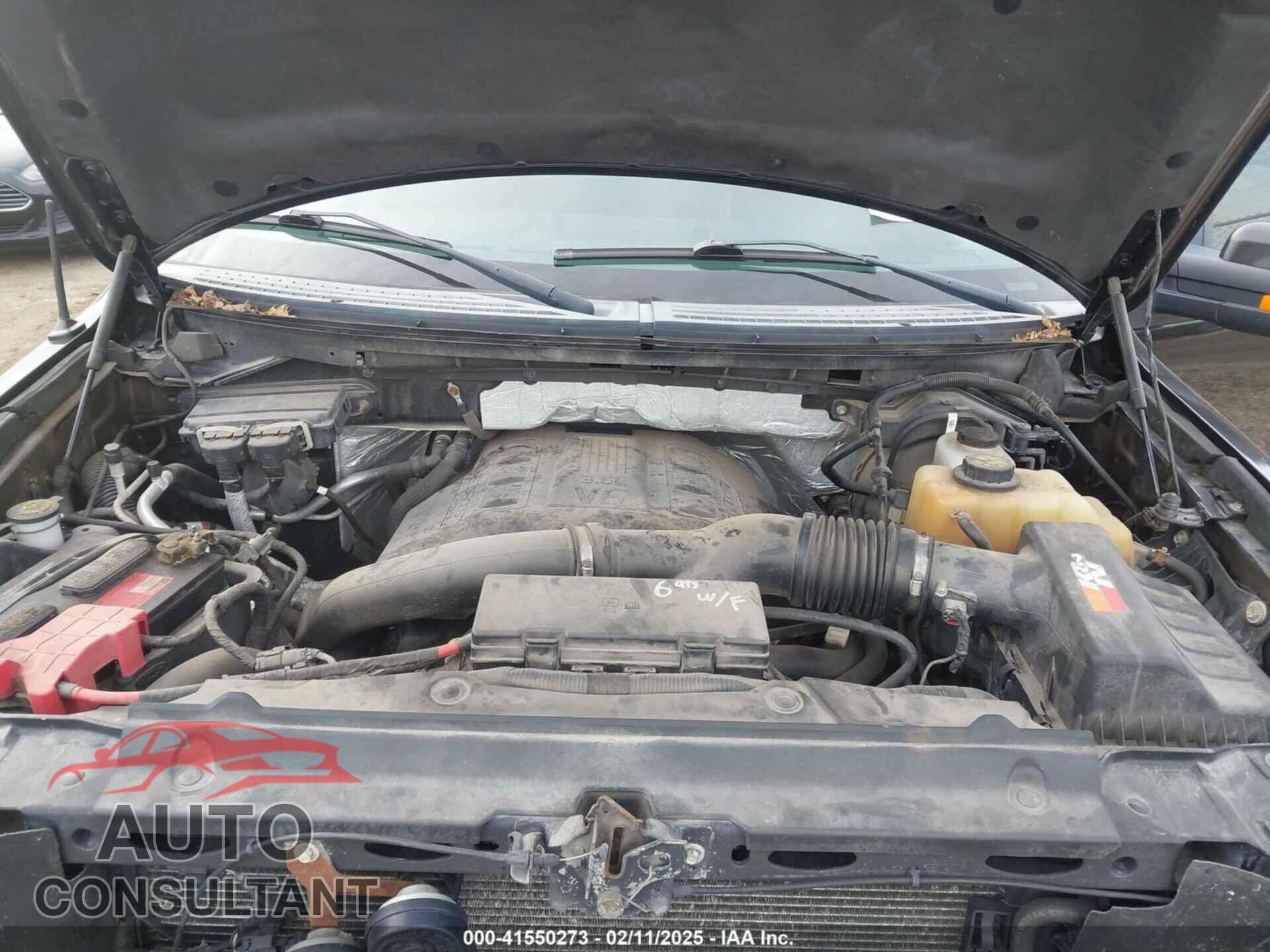 FORD F-150 2011 - 1FTFW1ET7BFB07077
