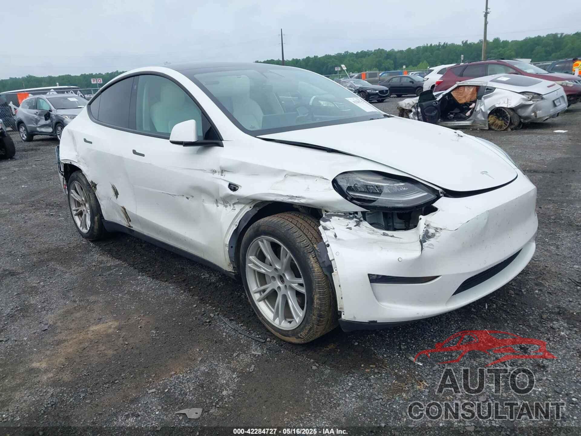 TESLA MODEL Y 2022 - 7SAYGDEE1NF354678
