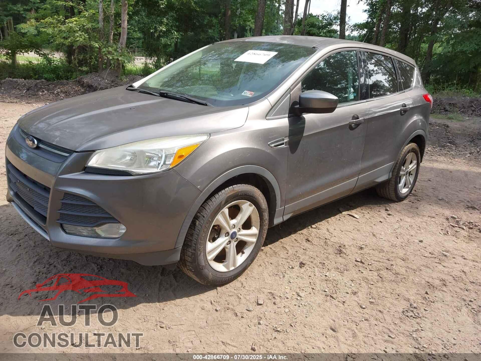 FORD ESCAPE 2014 - 1FMCU9GX4EUB83312
