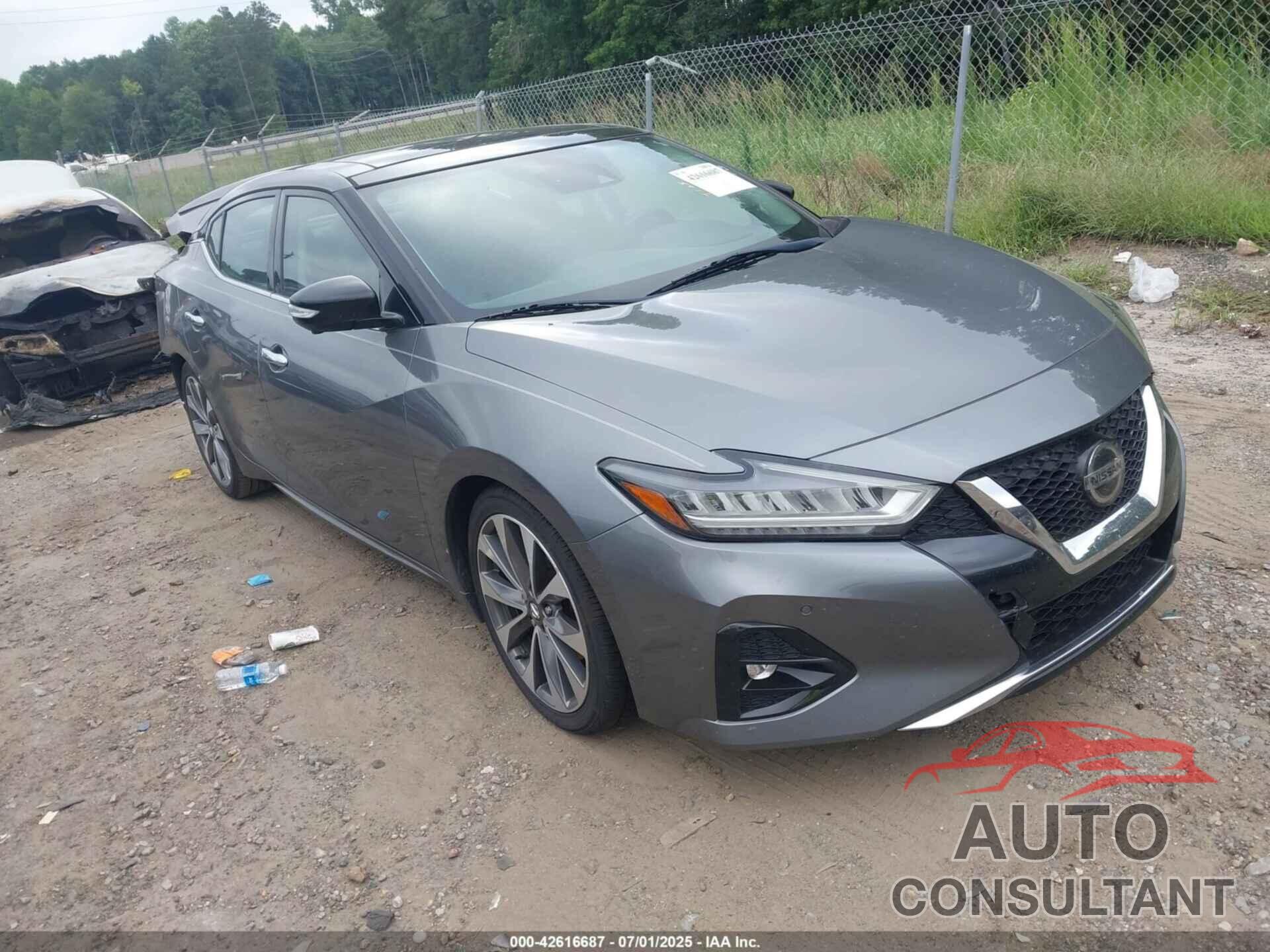 NISSAN MAXIMA 2019 - 1N4AA6AV1KC378608