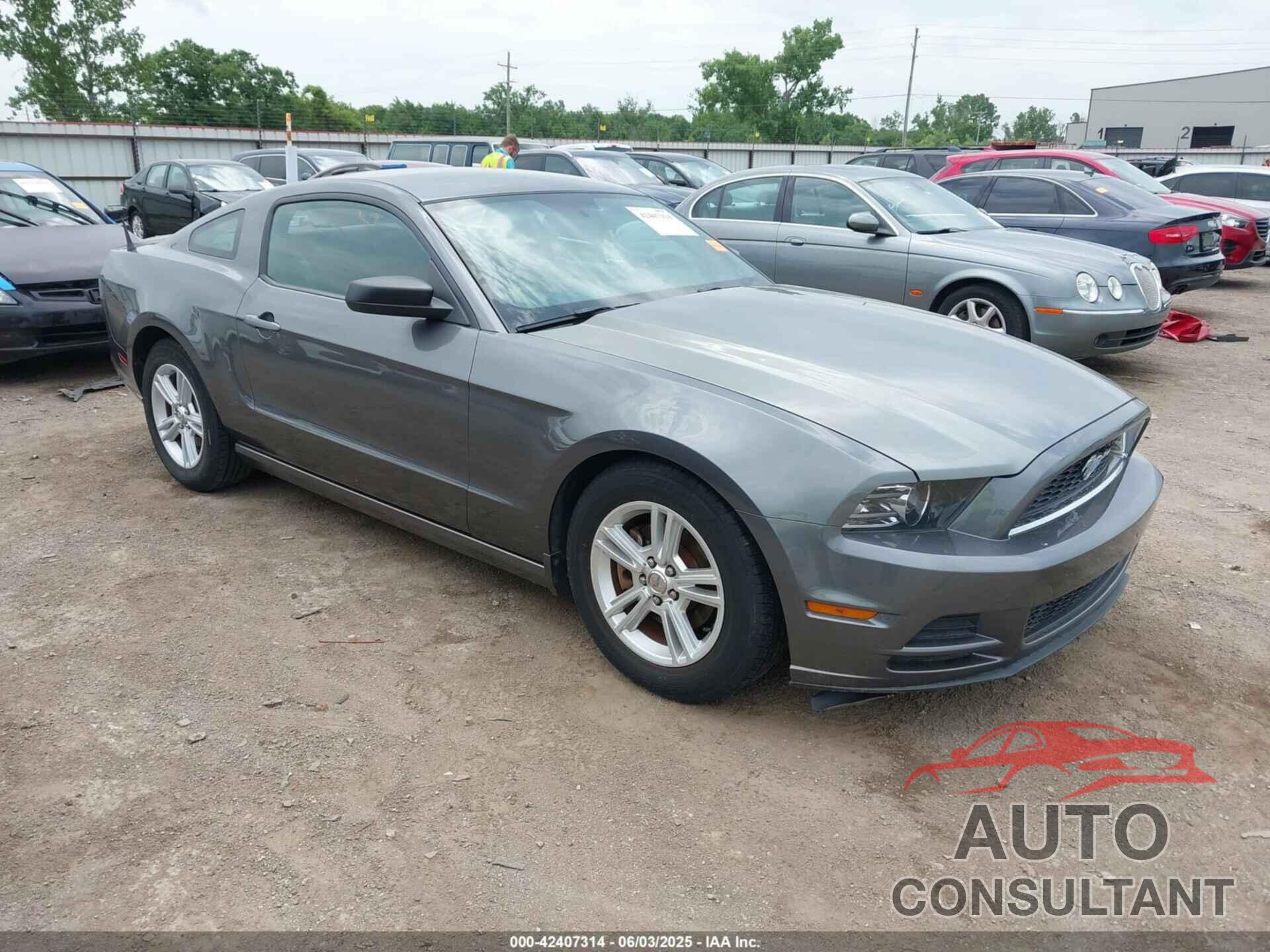 FORD MUSTANG 2013 - 1ZVBP8AM7D5272040