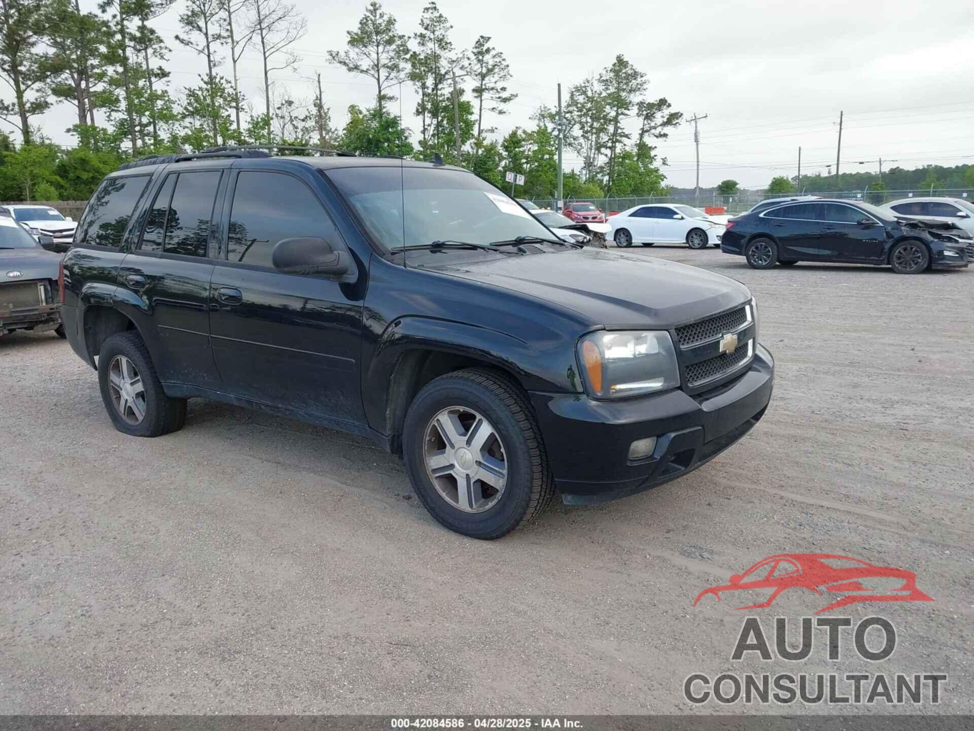 CHEVROLET TRAILBLAZER 2009 - 1GNDT33S192110085