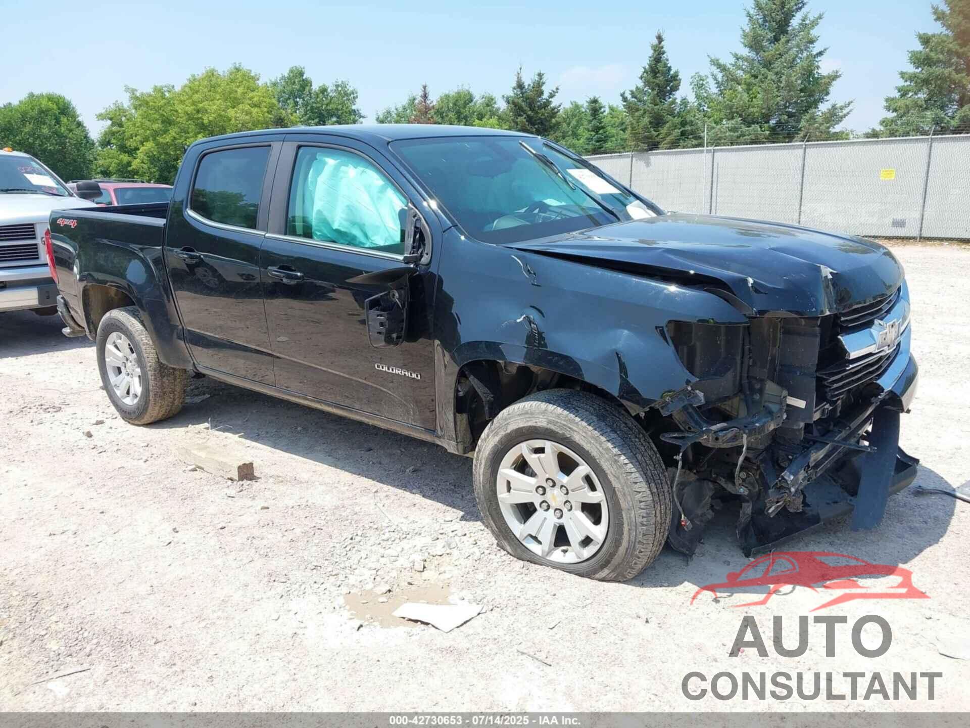 CHEVROLET COLORADO 2019 - 1GCGTCENXK1219377