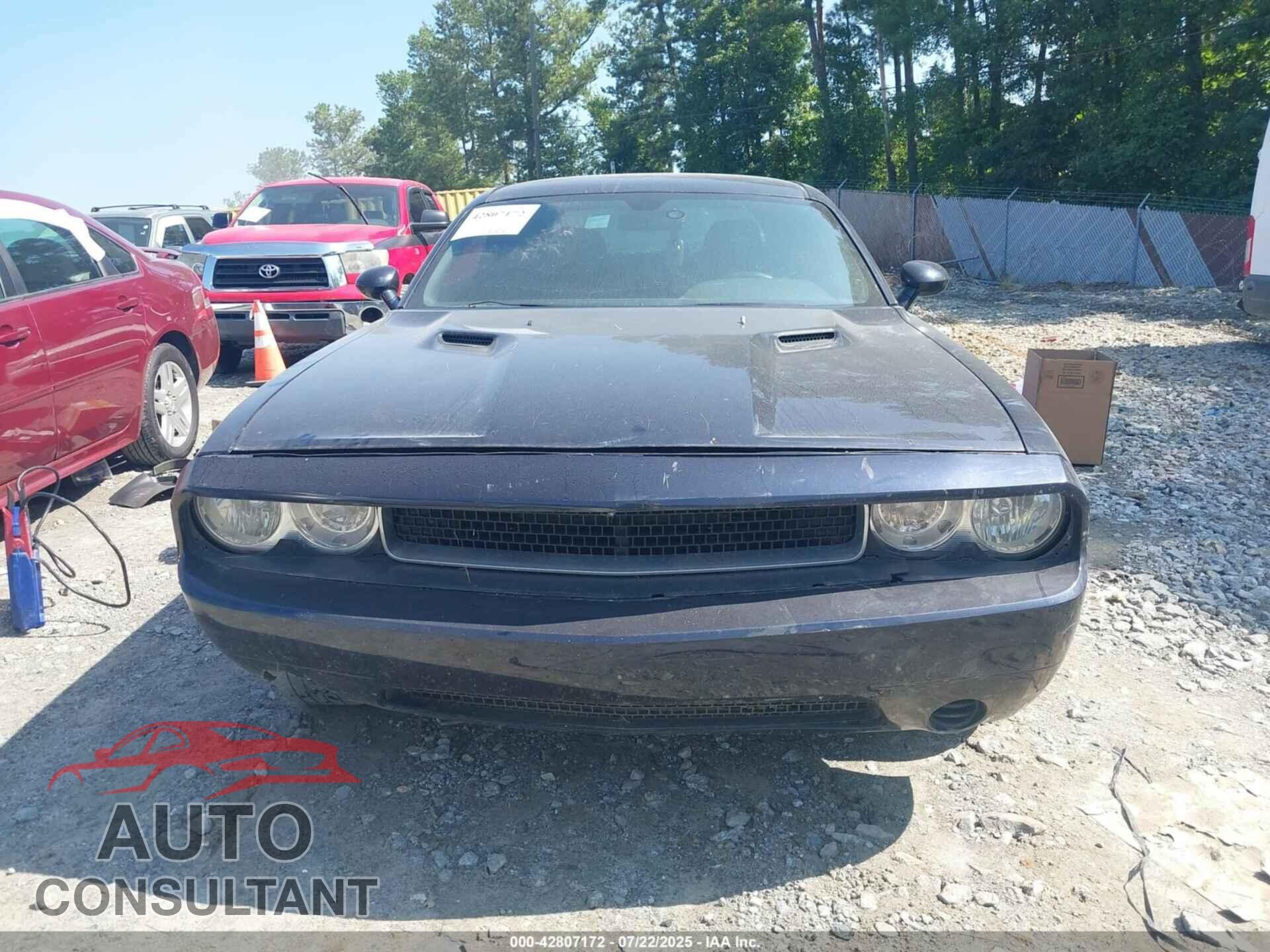 DODGE CHALLENGER 2012 - 2C3CDYAG2CH161899