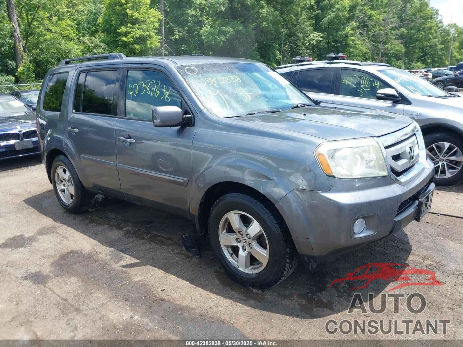 HONDA PILOT 2010 - 5FNYF4845AB502683