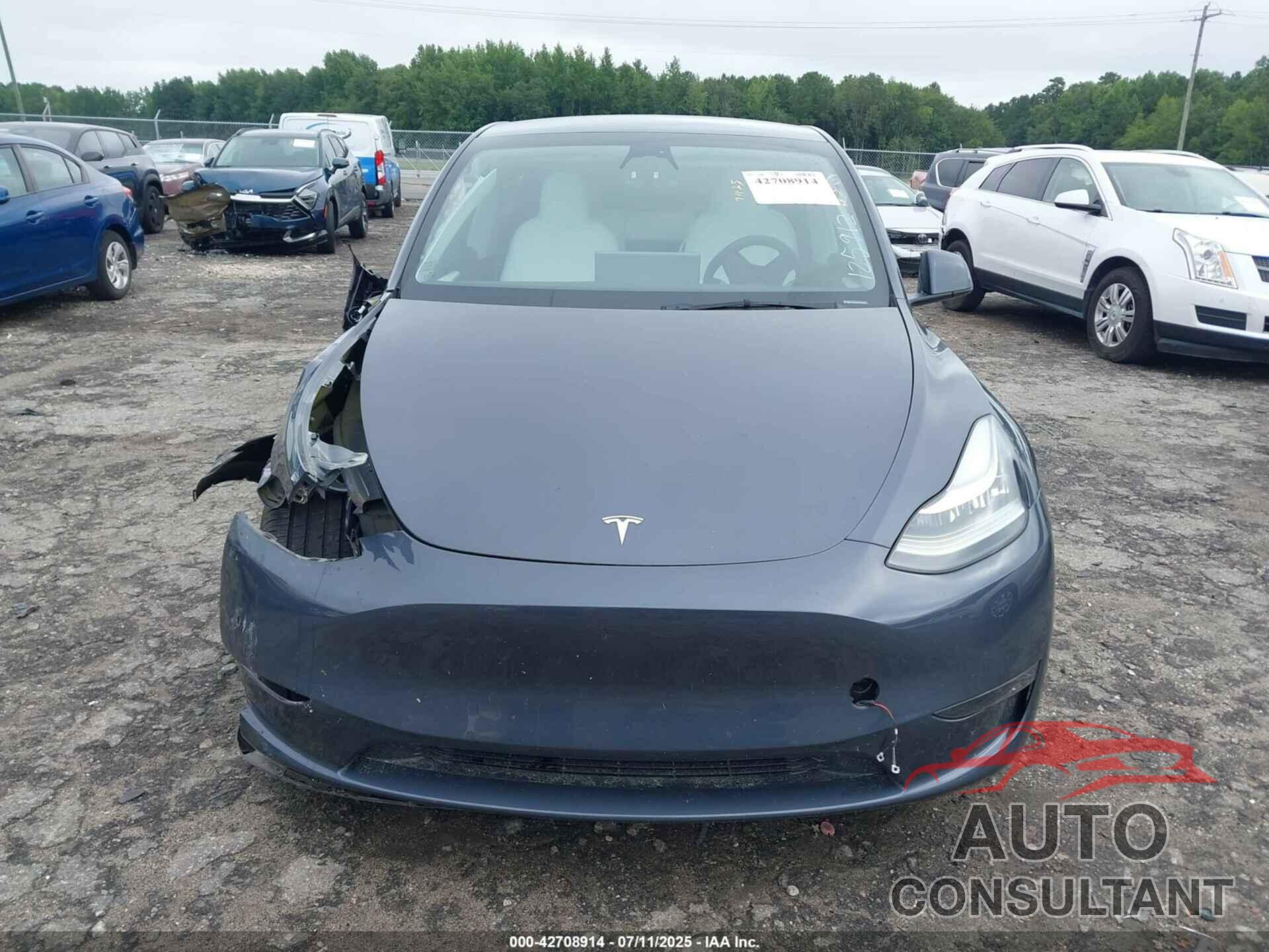 TESLA MODEL Y 2023 - 7SAYGDEE0PA125912