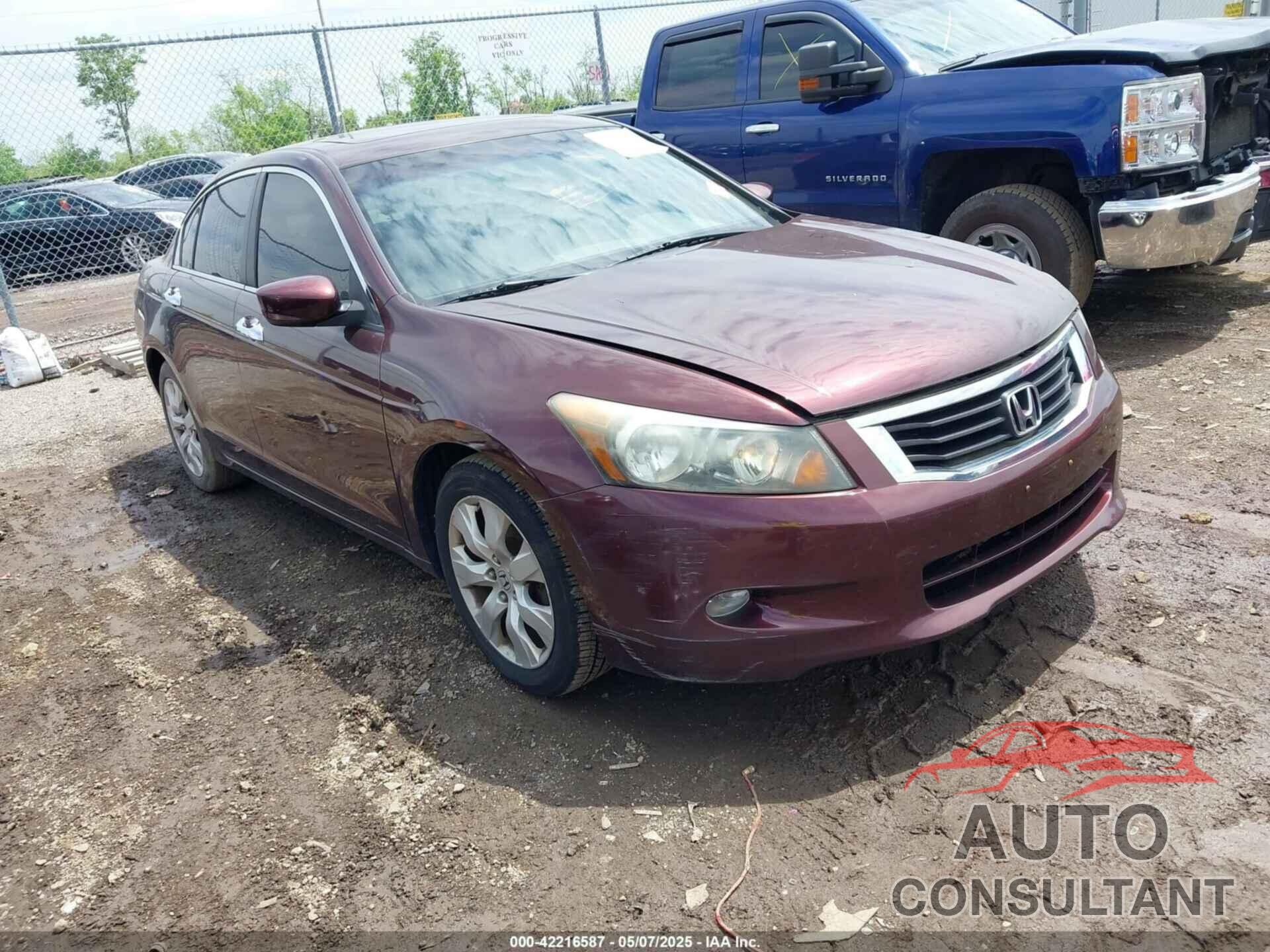 HONDA ACCORD 2010 - 5KBCP3F84AB013085