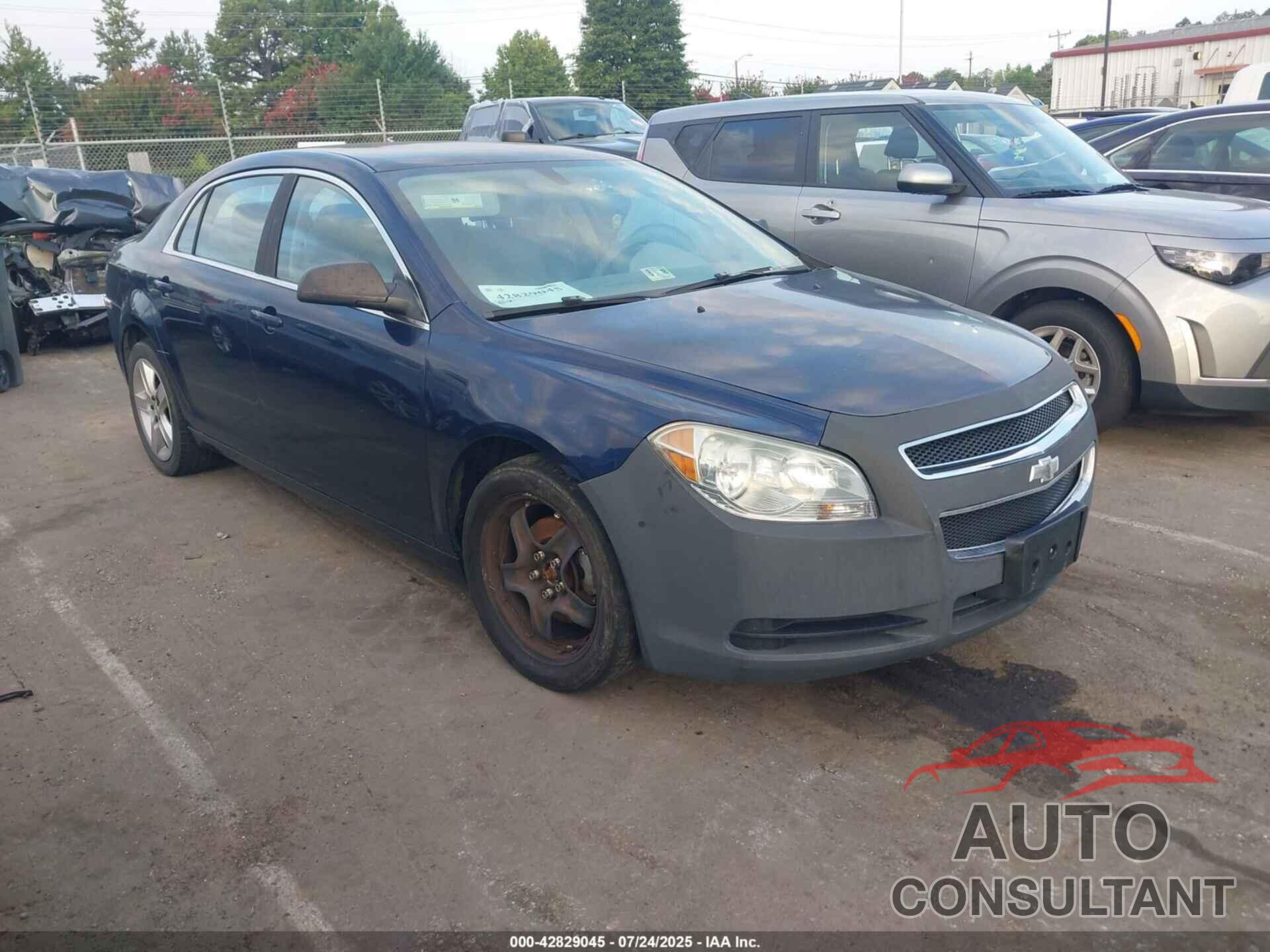 CHEVROLET MALIBU 2011 - 1G1ZA5EU7BF338484