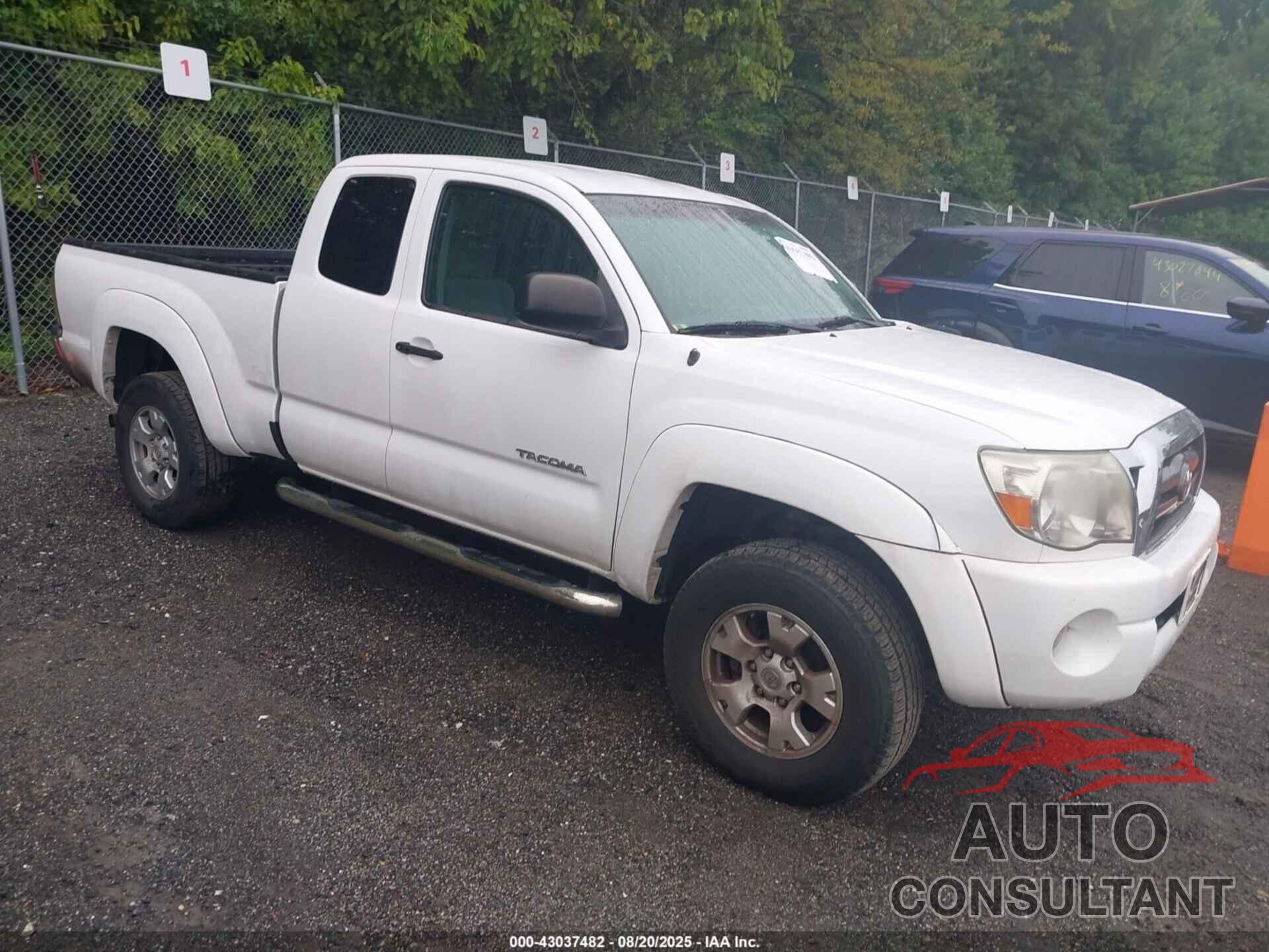 TOYOTA TACOMA 2009 - 5TEUX42N09Z613276