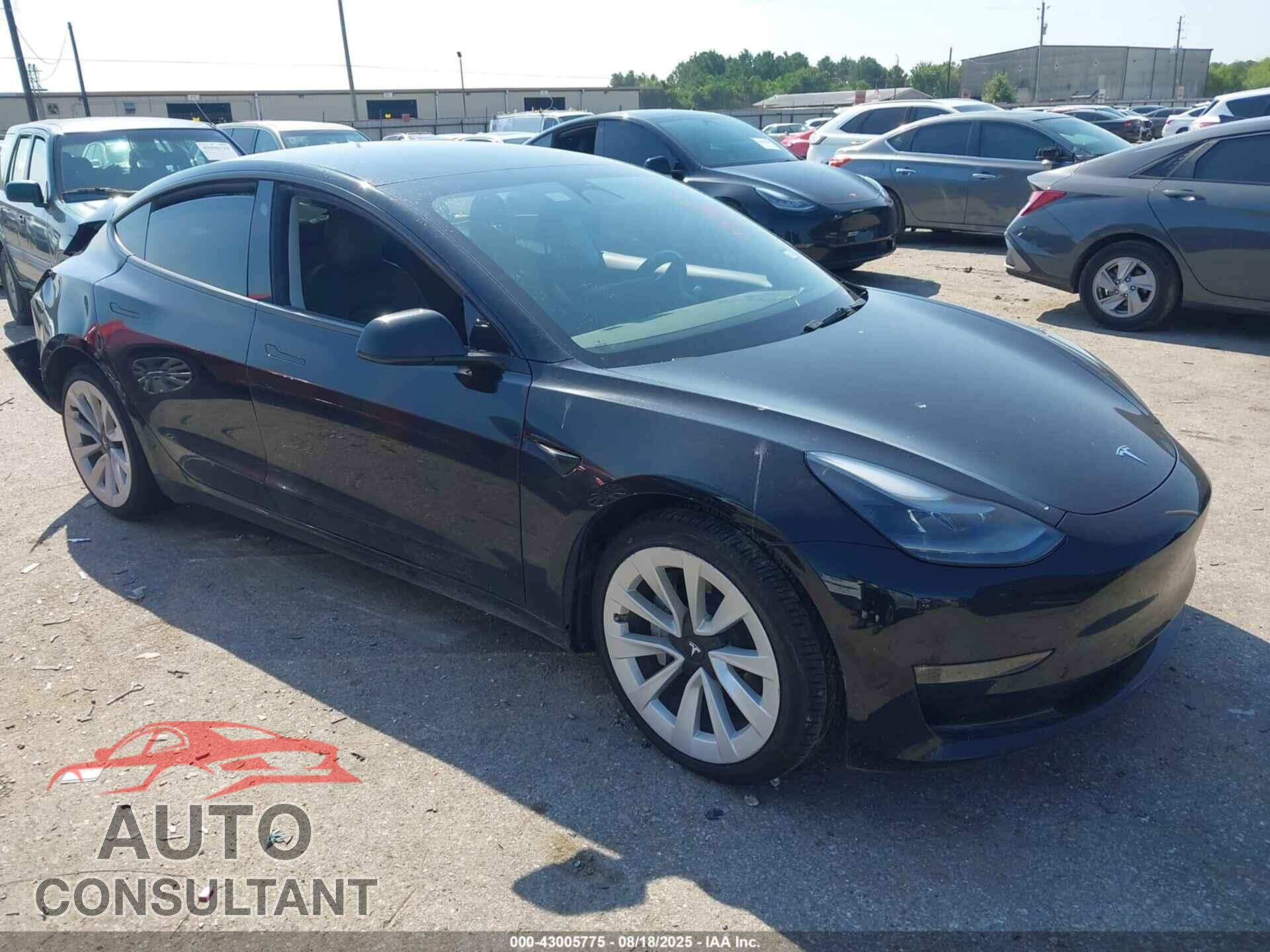 TESLA MODEL 3 2022 - 5YJ3E1EB3NF163930