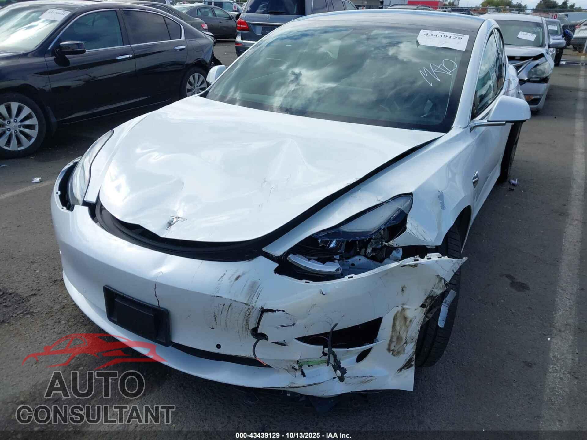 TESLA MODEL 3 2019 - 5YJ3E1EA2KF484084