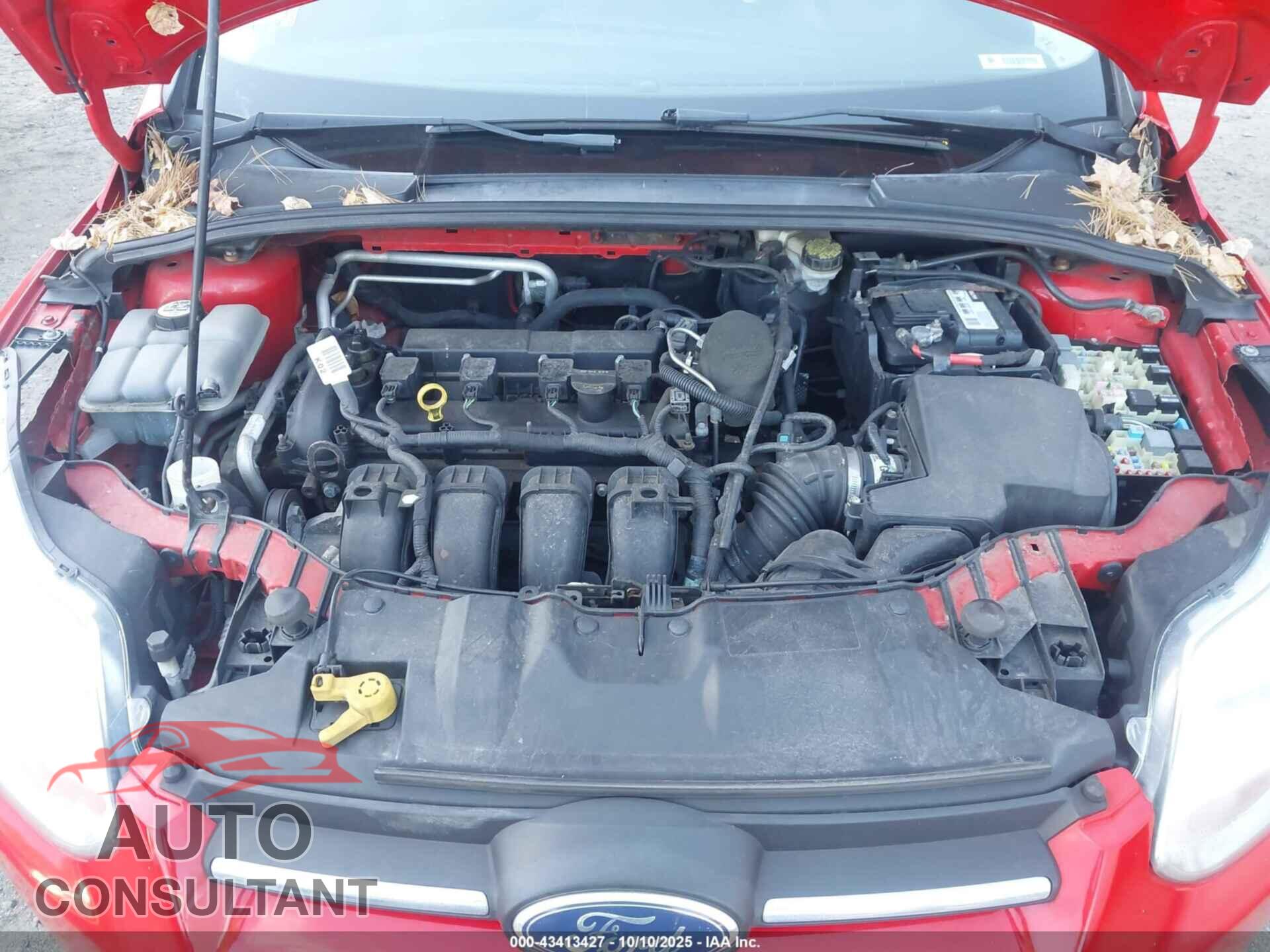 FORD FOCUS 2012 - 1FAHP3F21CL229174