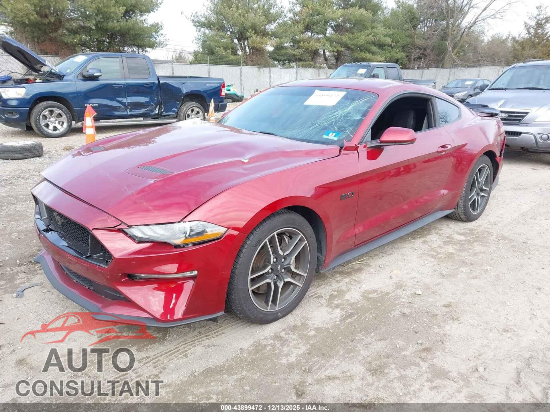 FORD MUSTANG 2019 - 1FA6P8CF1K5193825