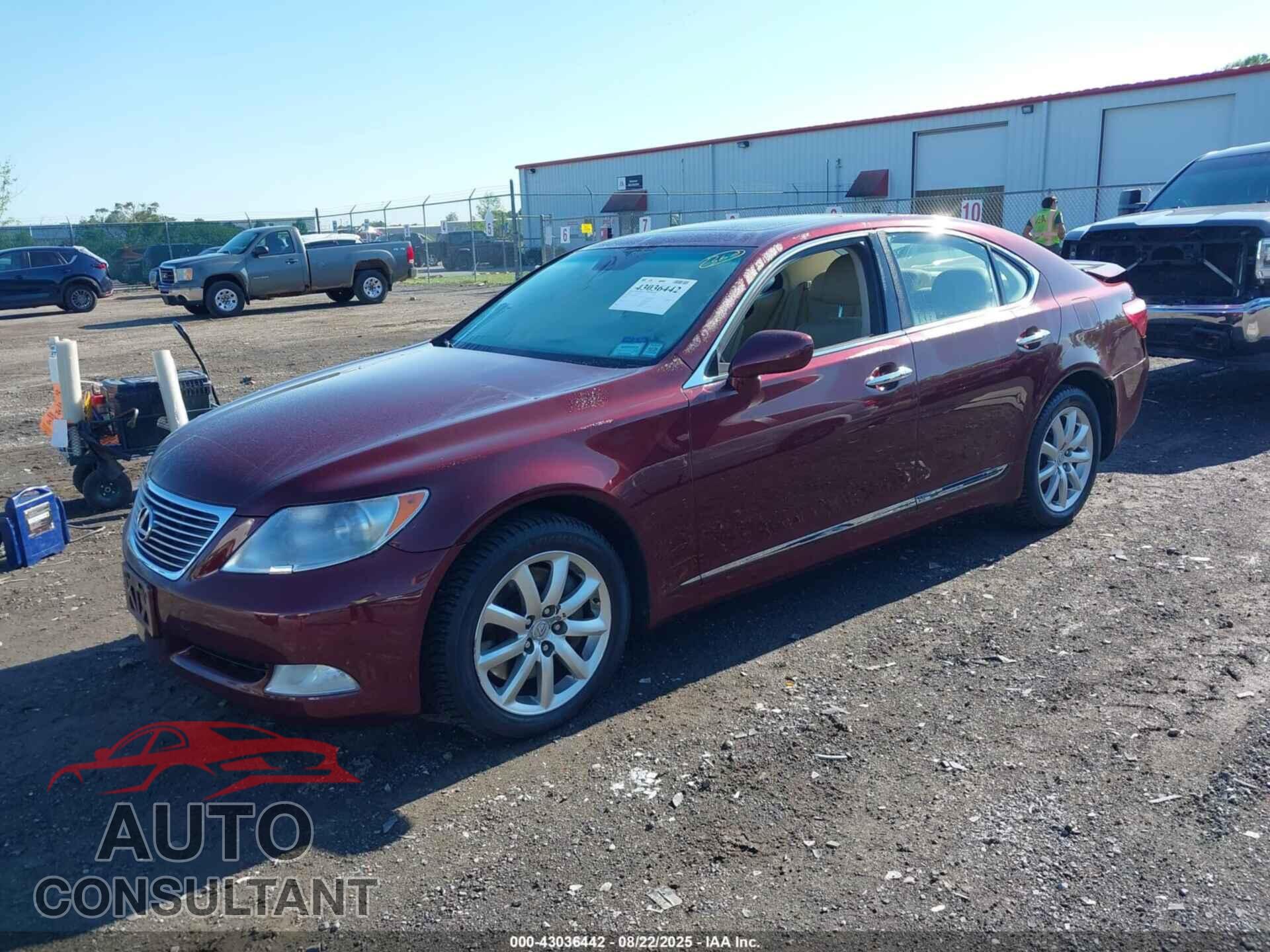 LEXUS LS 460 2009 - JTHCL46F295001821