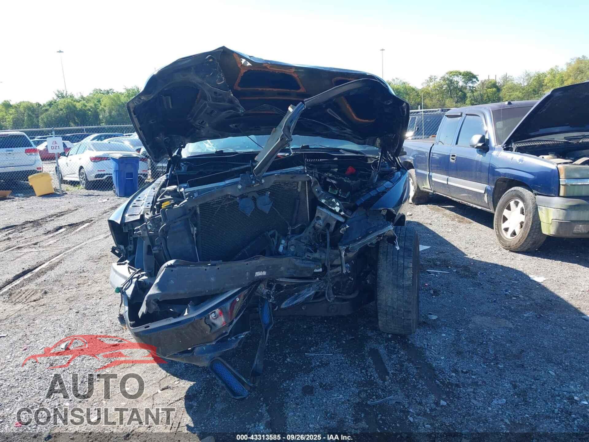 DODGE RAM 1500 2010 - 1D7RB1GP9AS141560