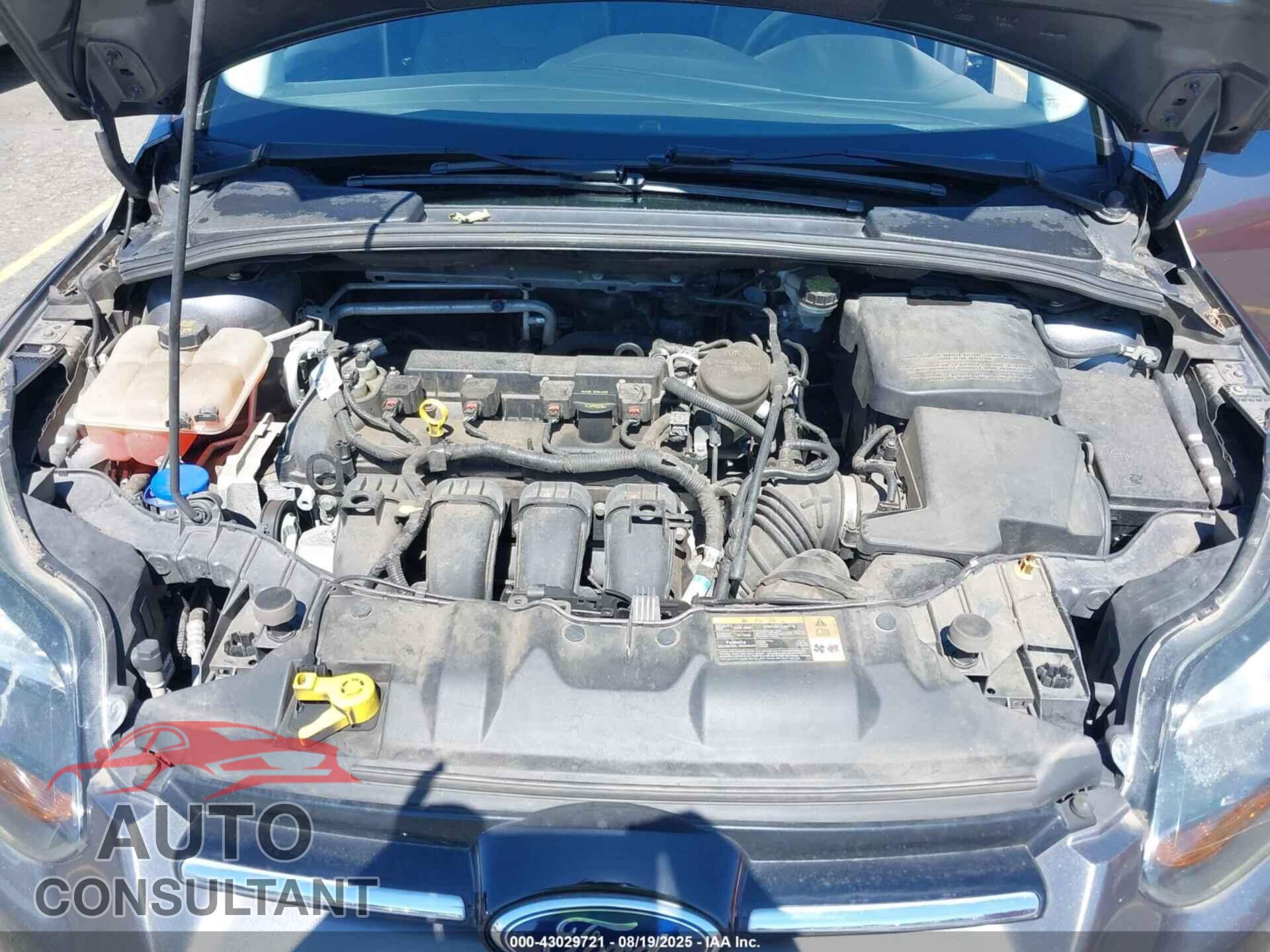 FORD FOCUS 2014 - 1FADP3N29EL144716