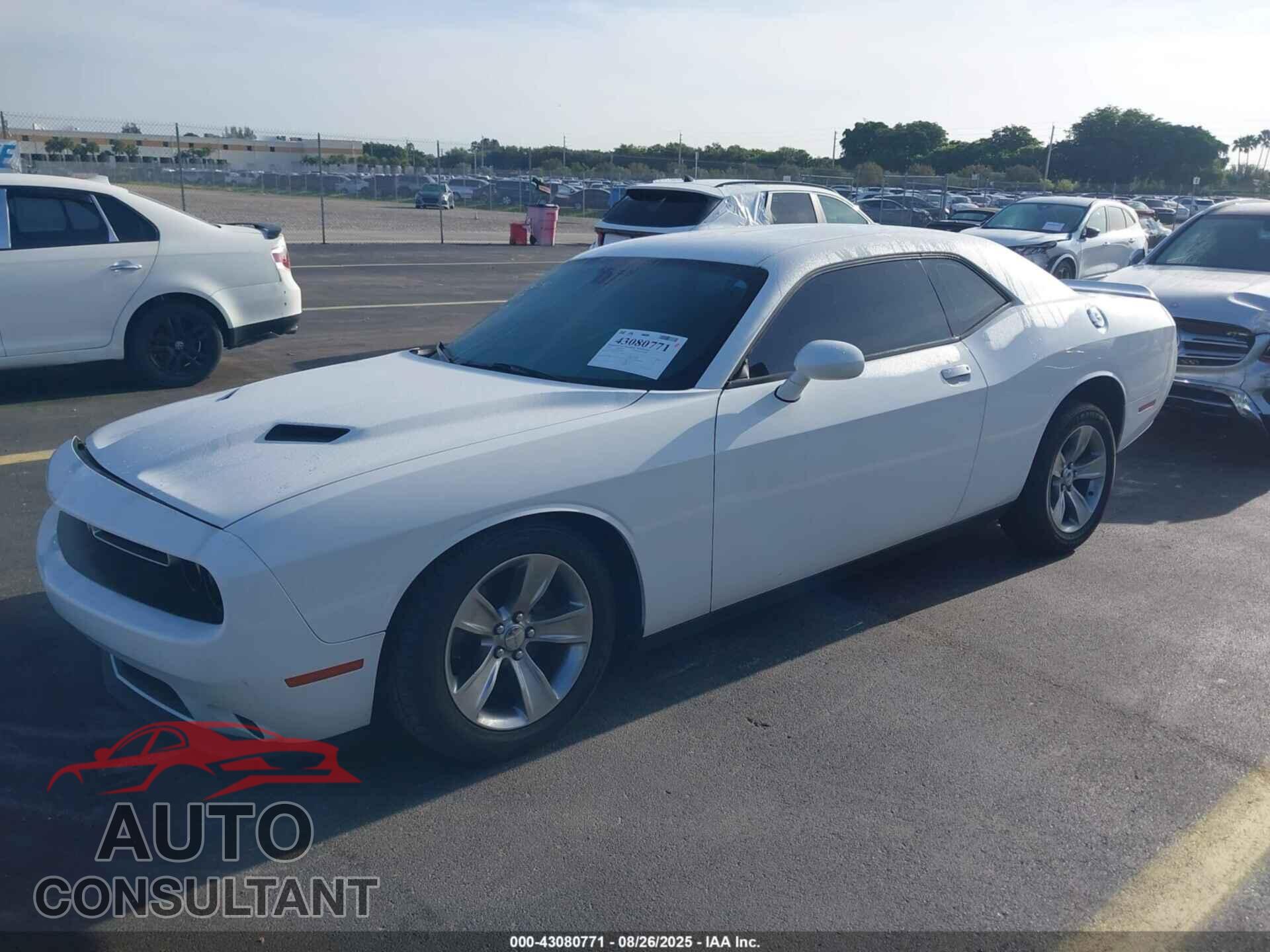 DODGE CHALLENGER 2021 - 2C3CDZAG7MH536290