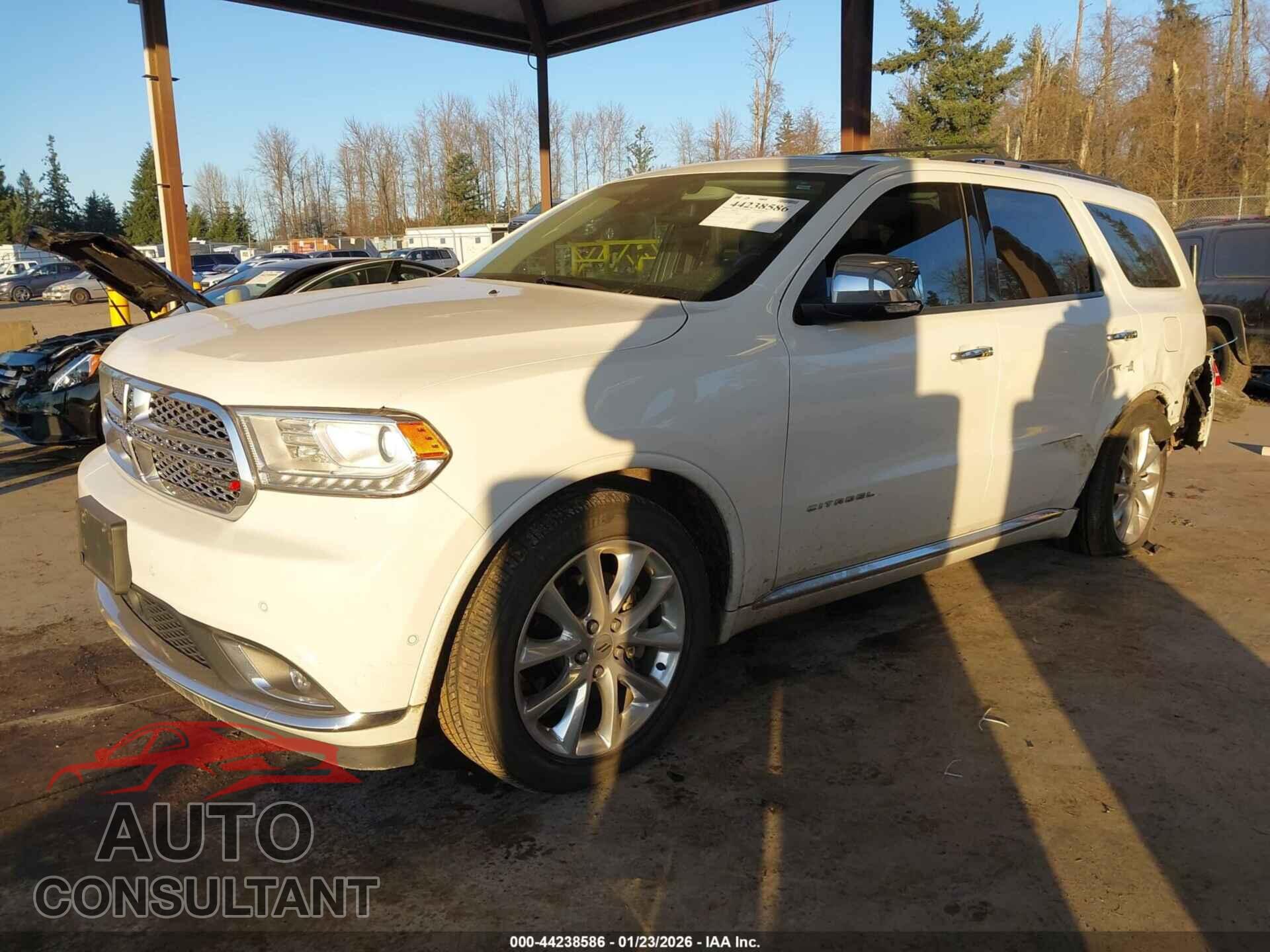 DODGE DURANGO 2019 - 1C4RDJEG2KC738259
