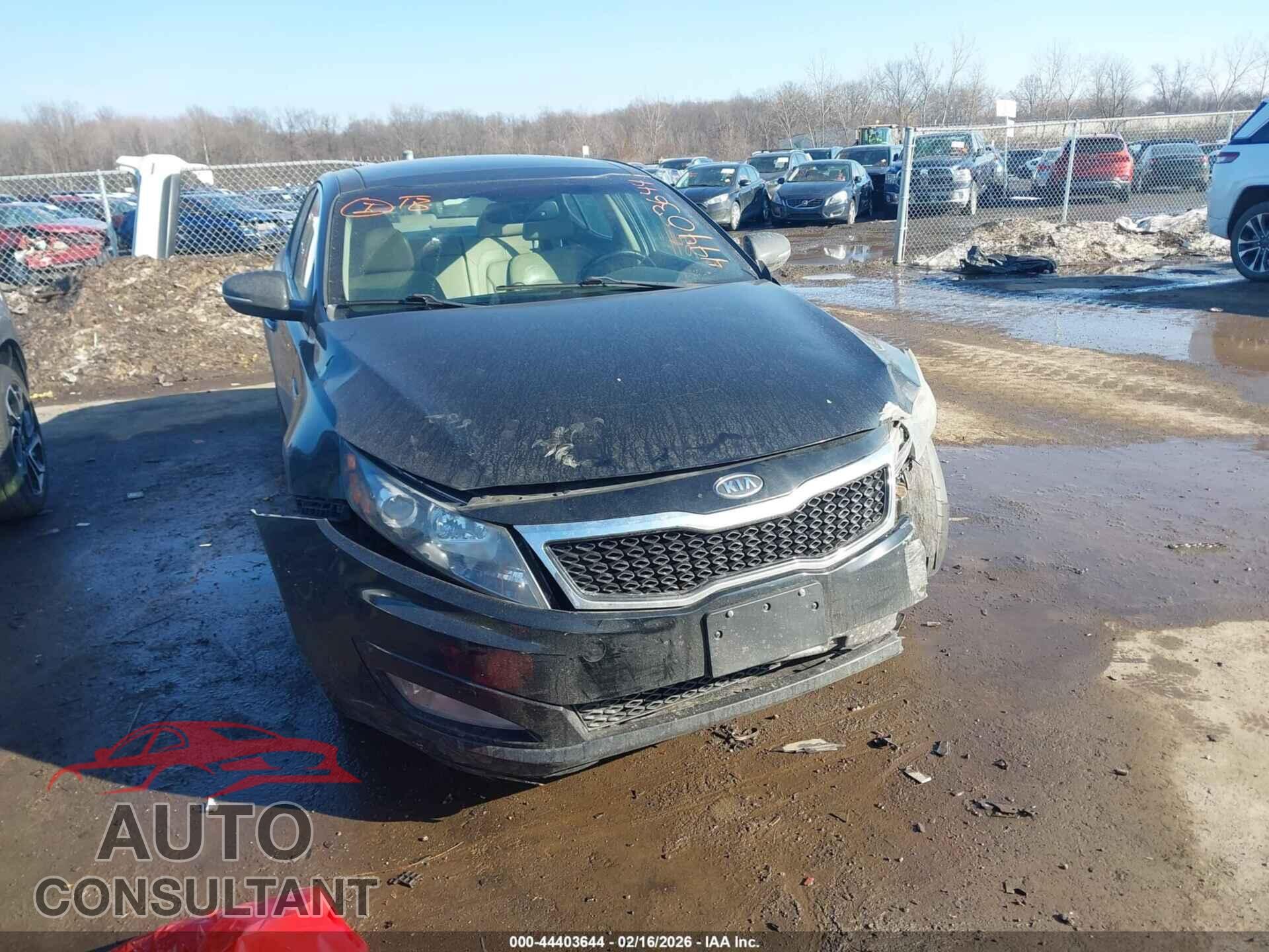 KIA OPTIMA 2011 - KNAGN4A73B5084031