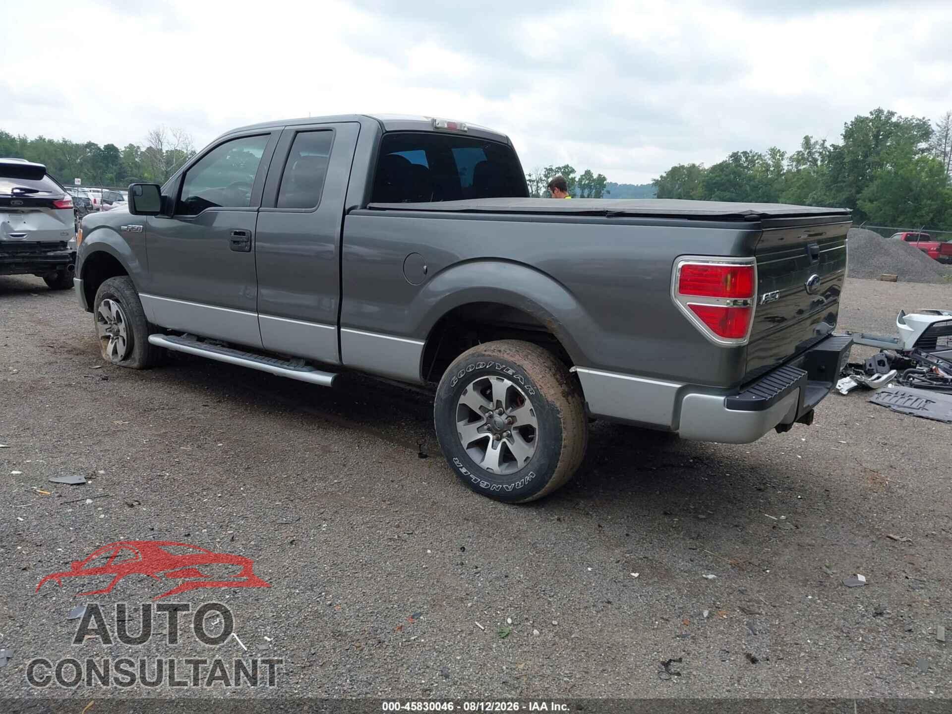 FORD F-150 2013 - 1FTFX1EFXDFD27744