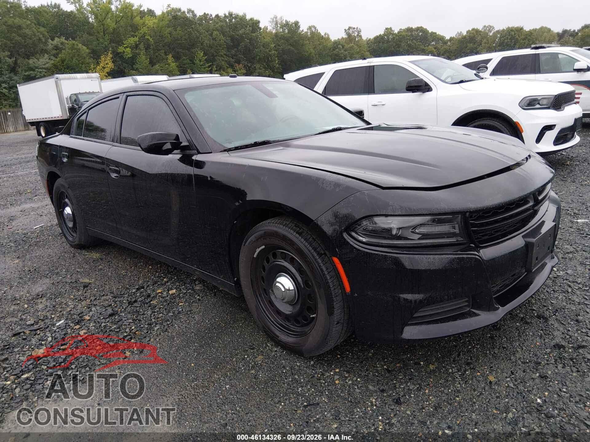 DODGE CHARGER 2019 - 2C3CDXKTXKH554893