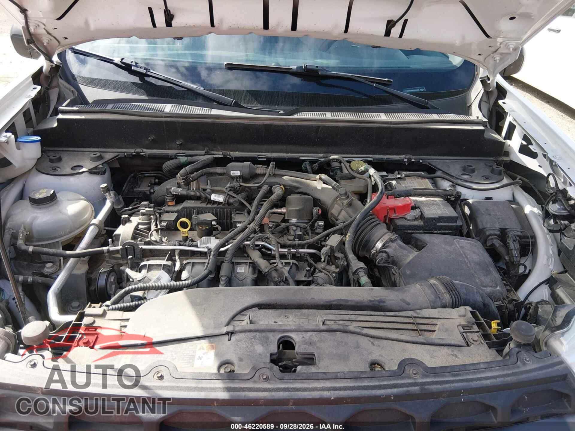 FORD MAVERICK 2022 - 3FTTW8F96NRA59092