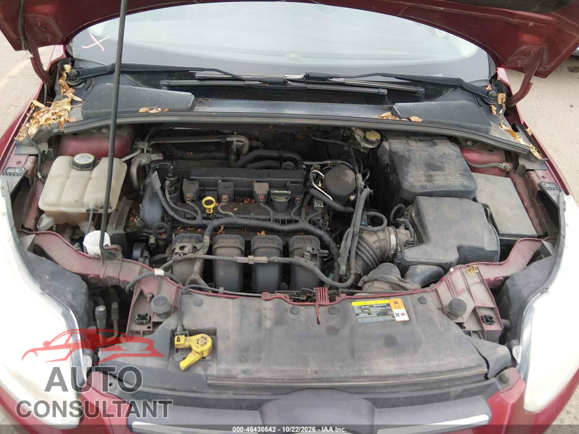 FORD FOCUS 2013 - 1FADP3F23DL199465