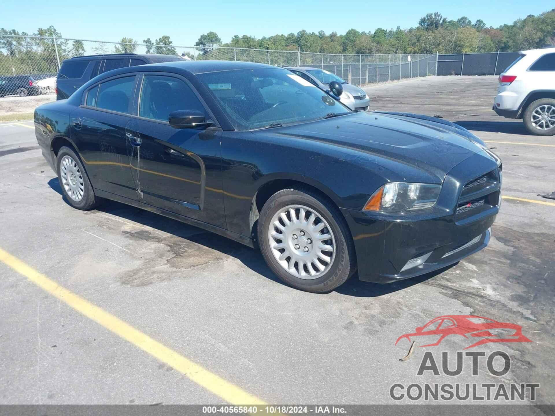 DODGE CHARGER 2014 - 2C3CDXKTXEH357971