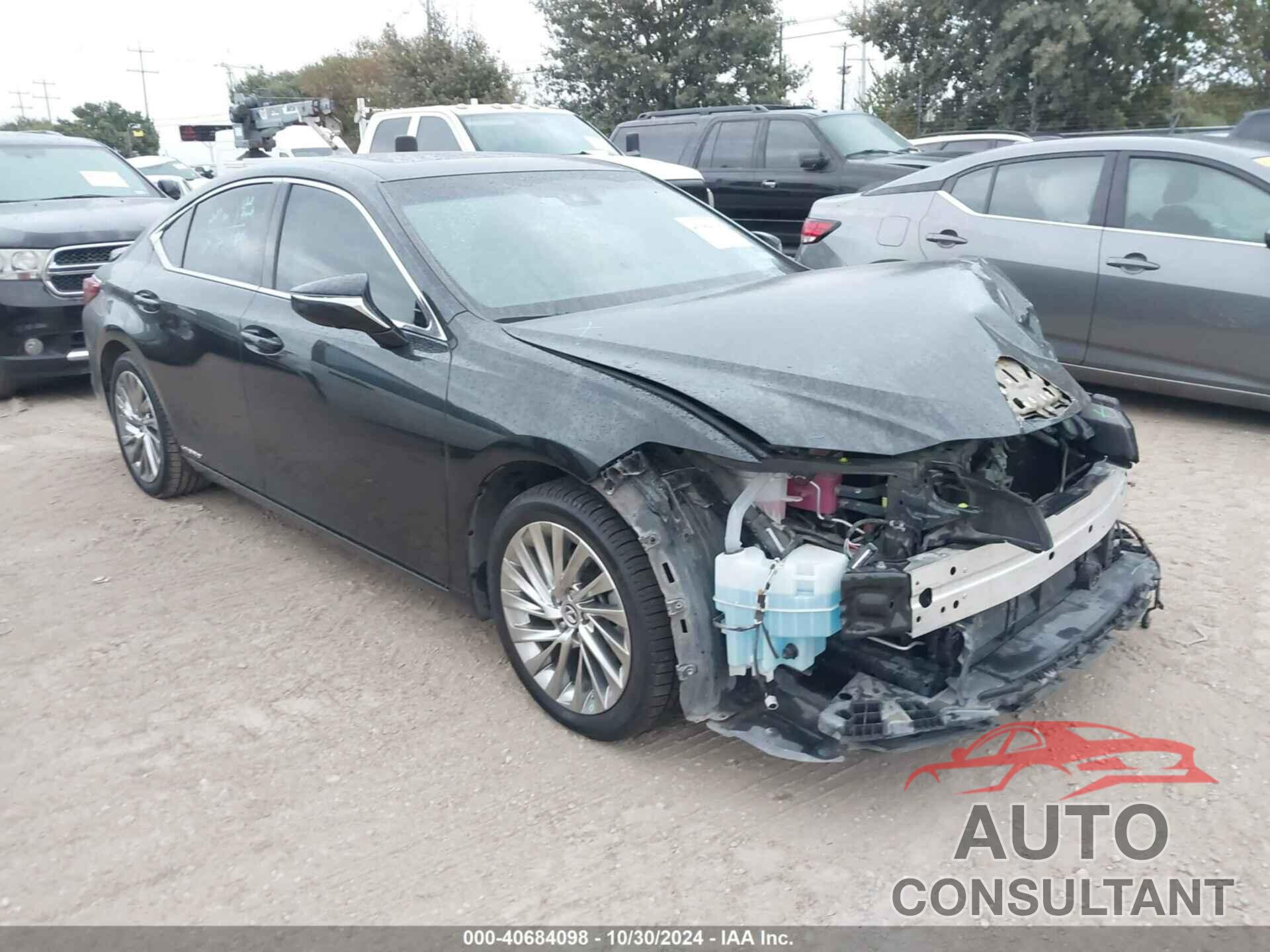 LEXUS ES 300H 2021 - 58AFA1C13MU013099