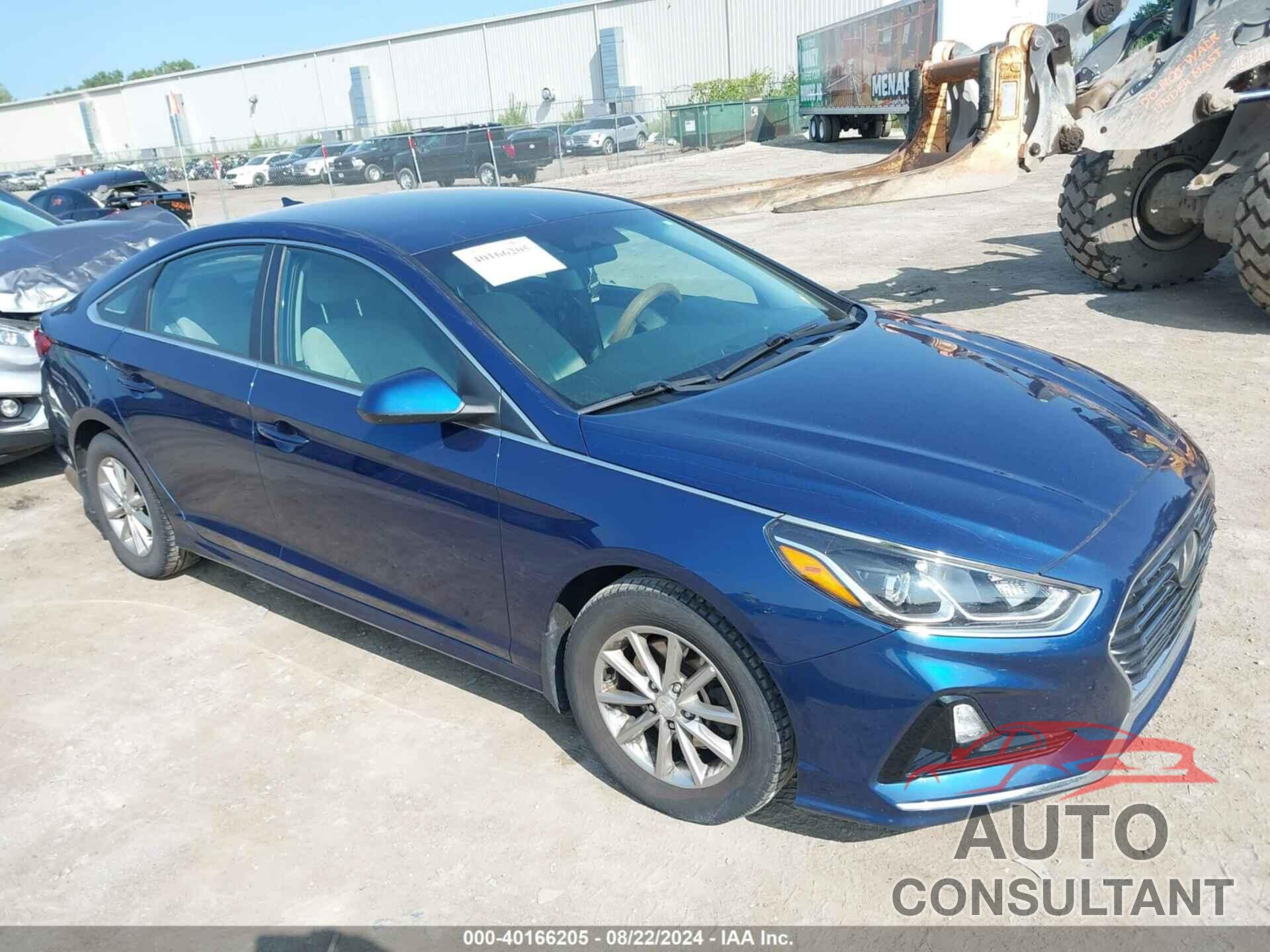 HYUNDAI SONATA 2019 - 5NPE24AF1KH798539