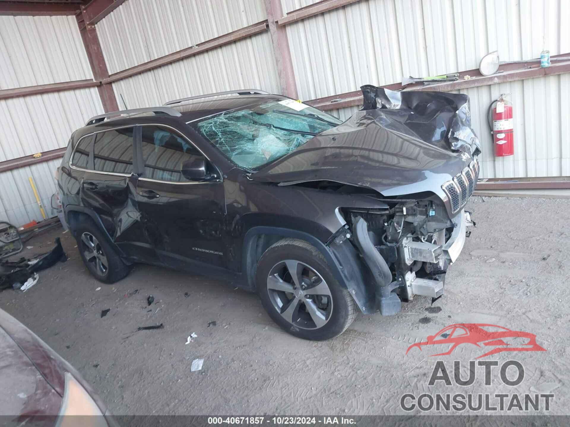 JEEP CHEROKEE 2019 - 1C4PJMDX1KD491801