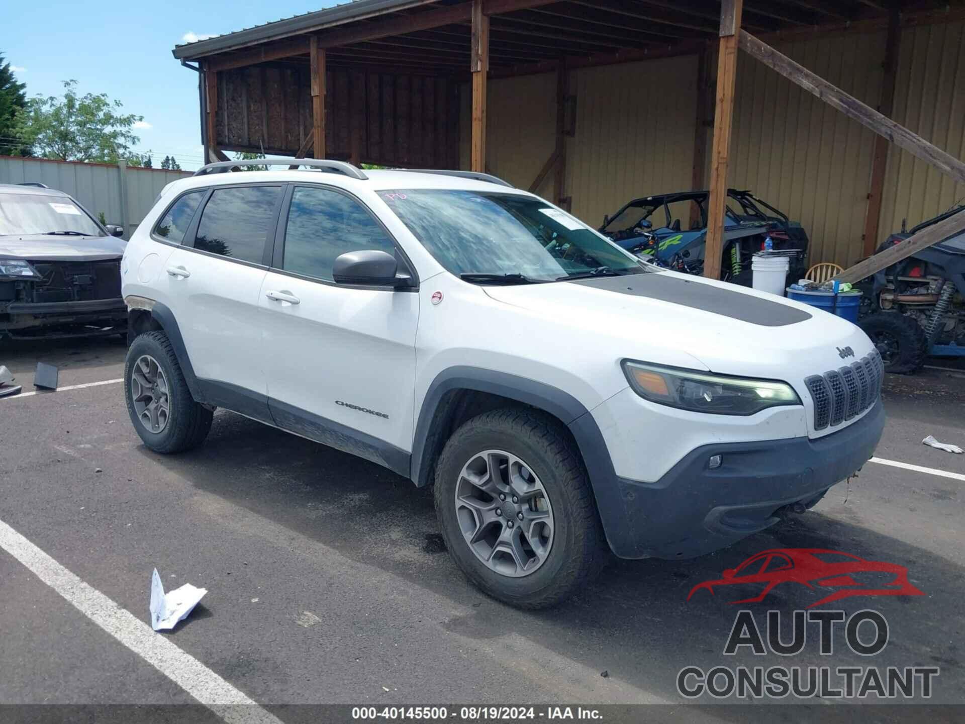 JEEP CHEROKEE 2020 - 1C4PJMBX6LD604579