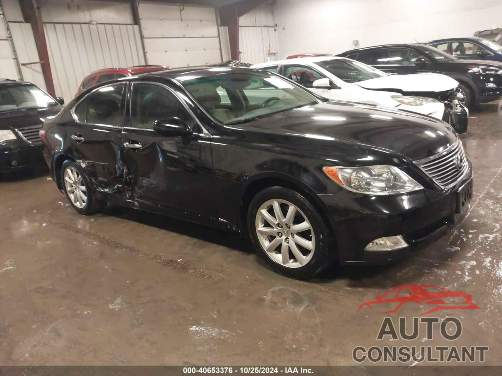 LEXUS LS 460 2009 - JTHBL46F495087211