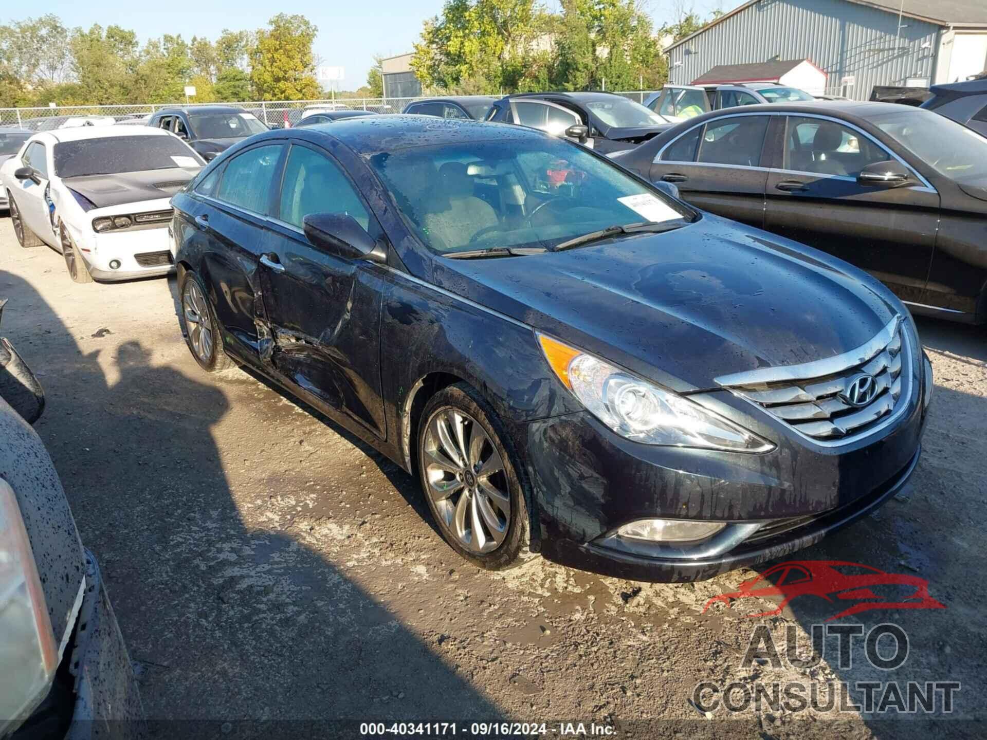 HYUNDAI SONATA 2013 - 5NPEC4AC4DH552915