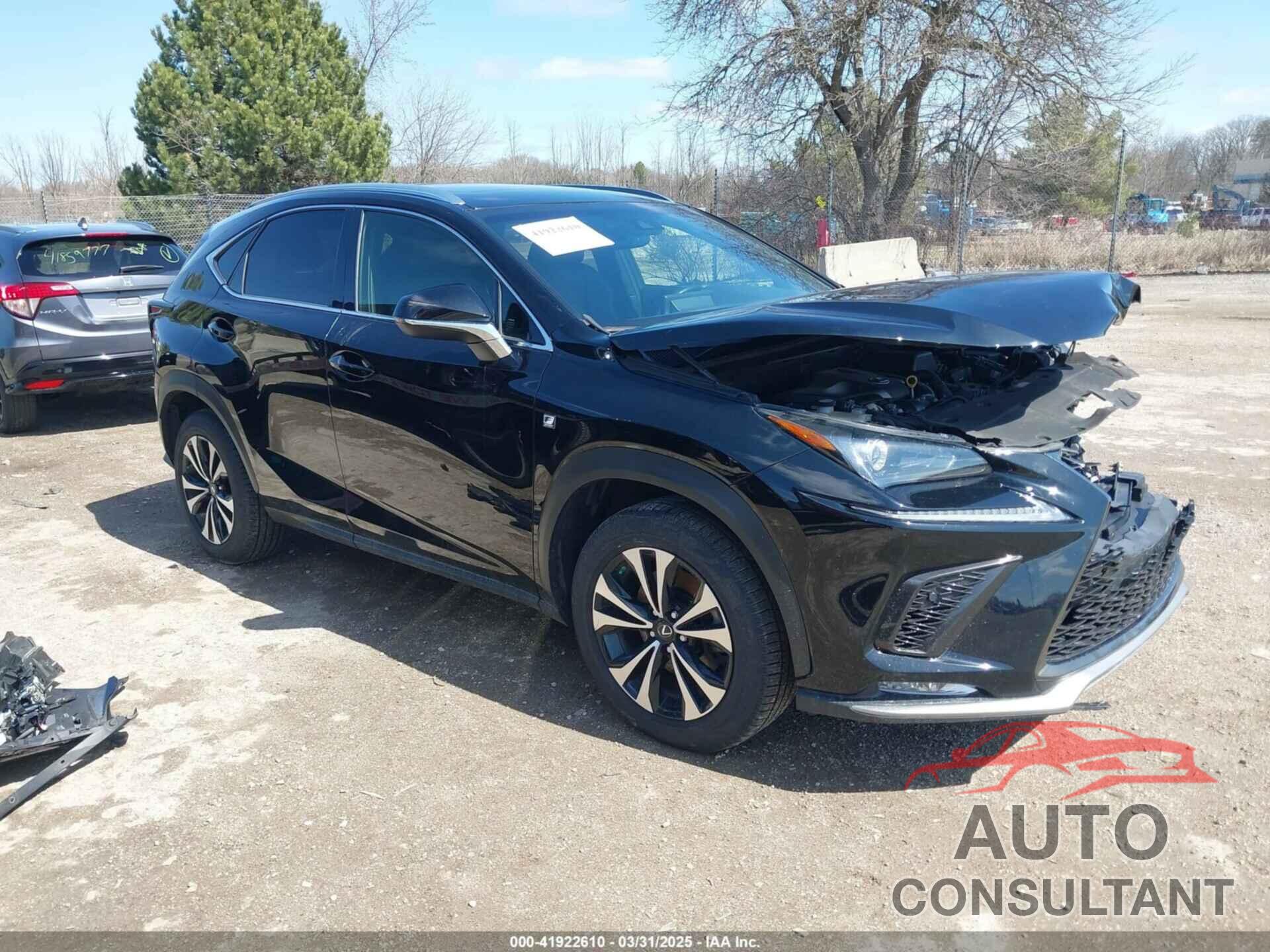 LEXUS NX 300 2019 - JTJBARBZ0K2216750