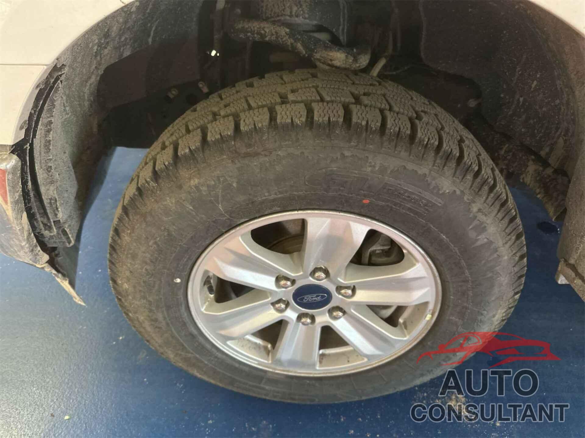 FORD F150 2020 - 1FTFX1E53LKD83151